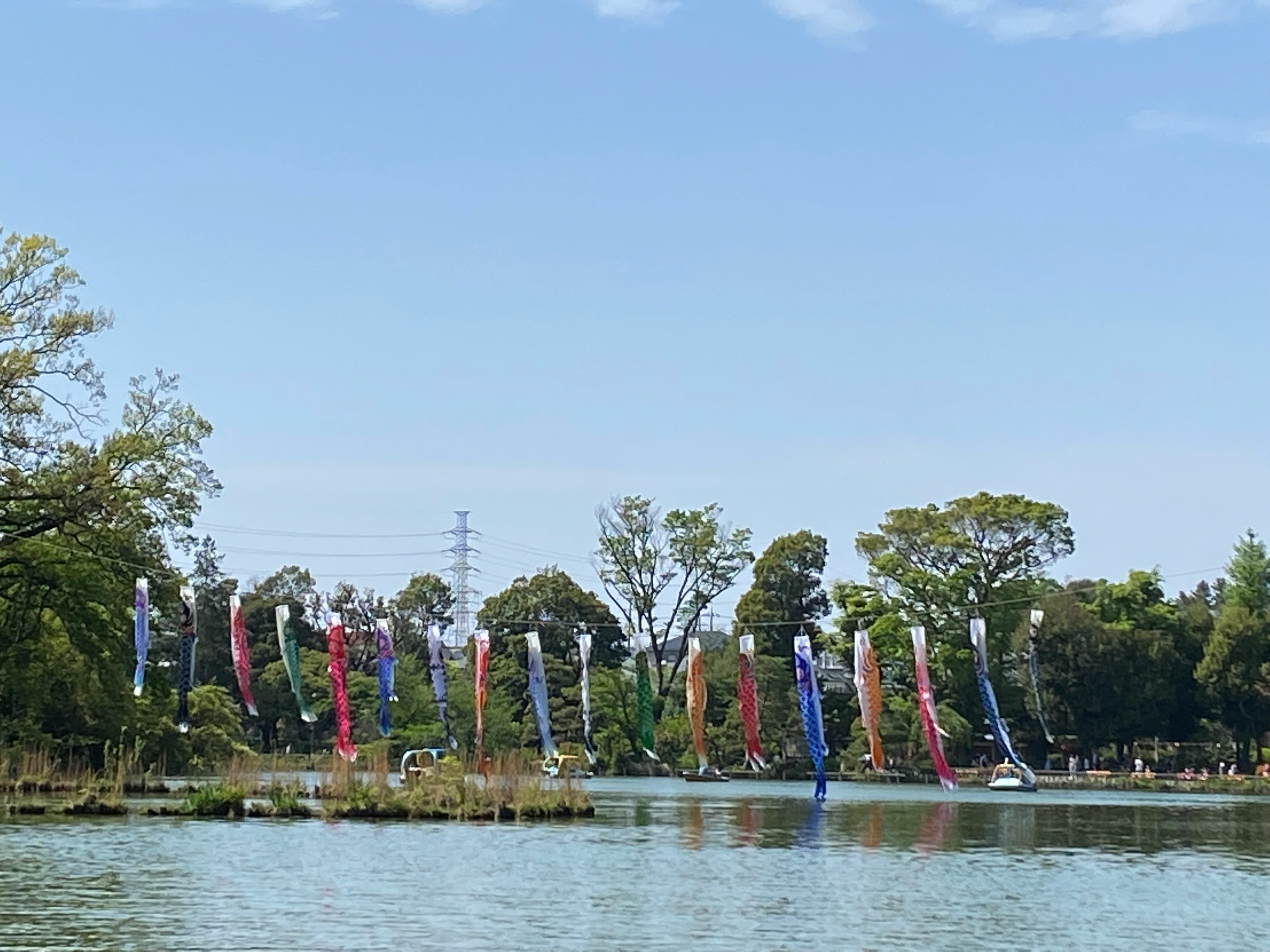 Colorful koinobori along a lakeside