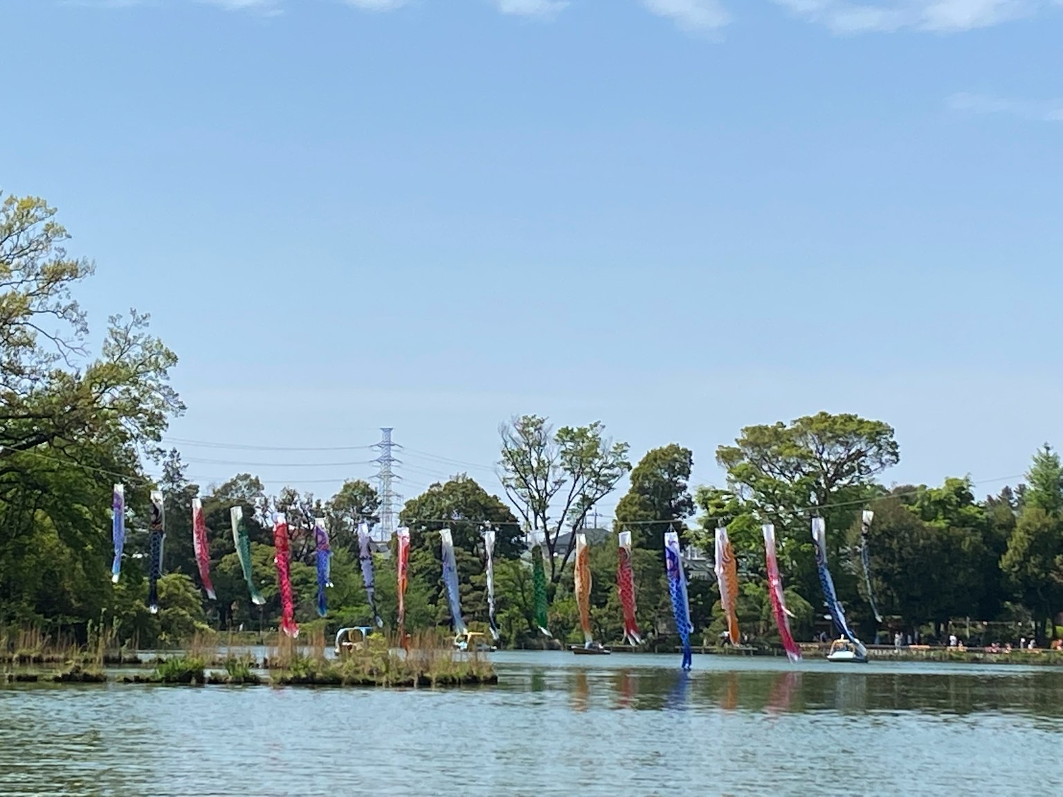 Une scène avec plusieurs drapeaux koi sous un ciel bleu