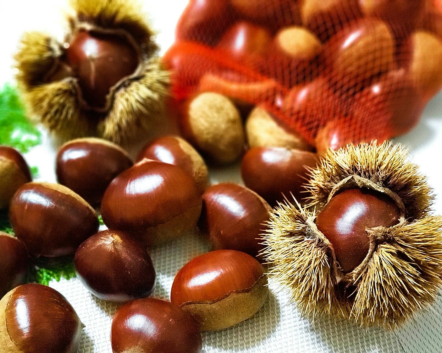 spiky chestnut-like fruits and nuts arranged together