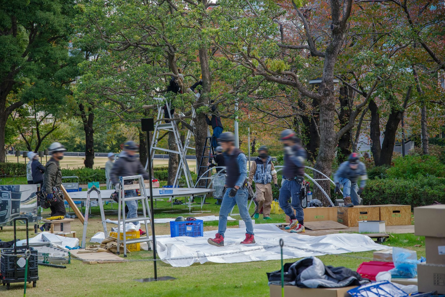Arbeiter richten Ausrüstung in einem Park ein, umgeben von Bäumen und Kisten