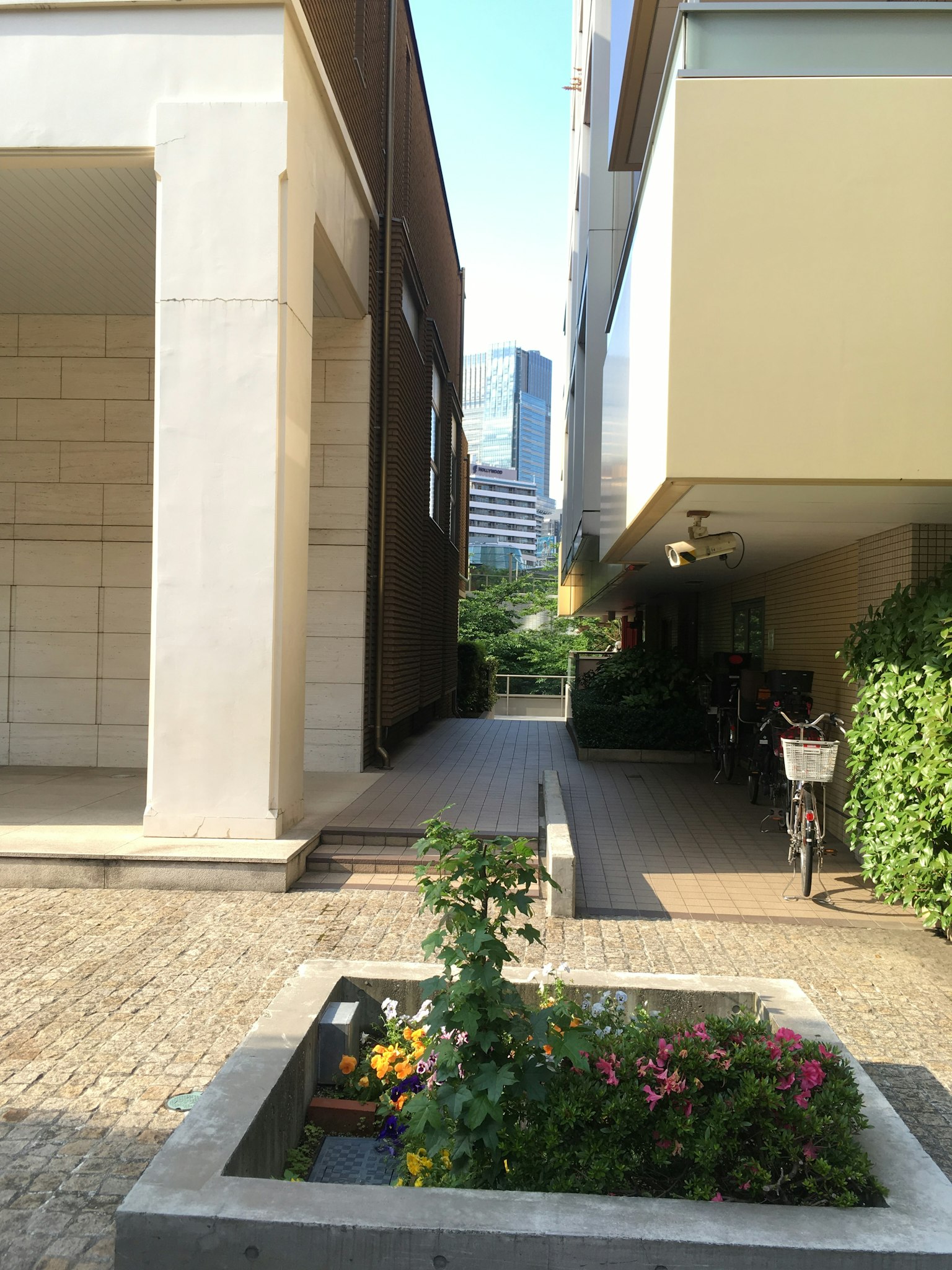 两栋建筑之间的狭窄小道和花坛