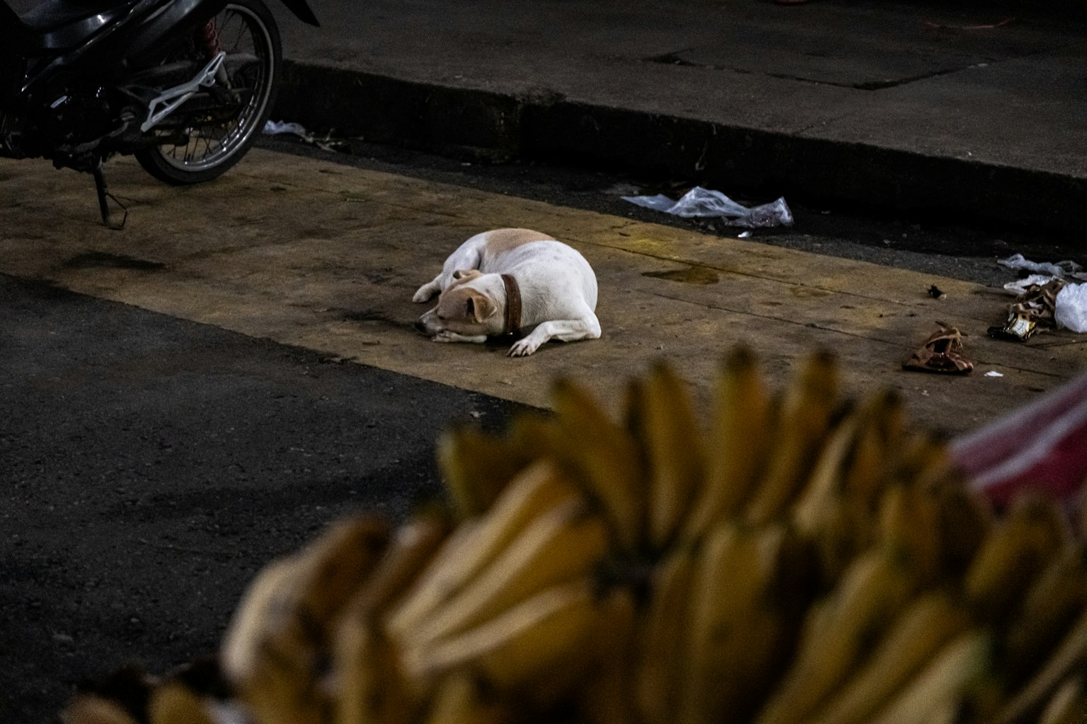 photo-38ZvmGh2MM80tbkMGEEt-image