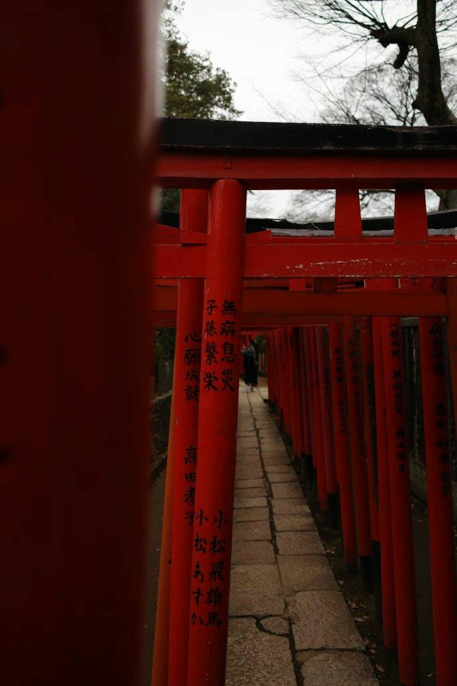 被红色鸟居围绕的小路