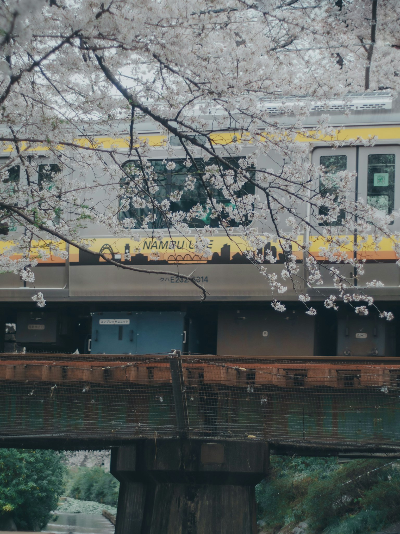 photo-38yCrysVDJPXclnh2tse-image