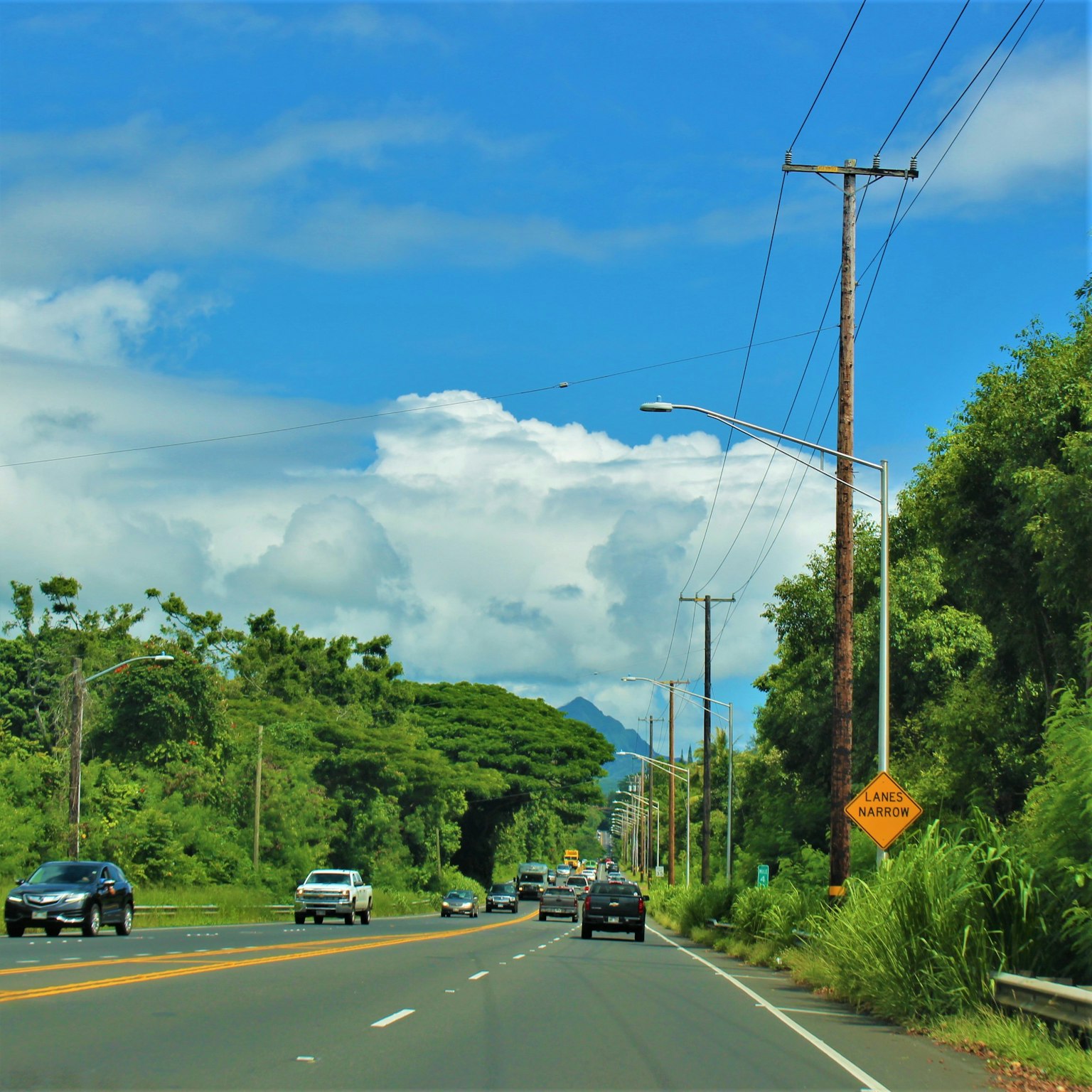 蓝天白云下的道路场景 绿色树木和电线杆沿路而立