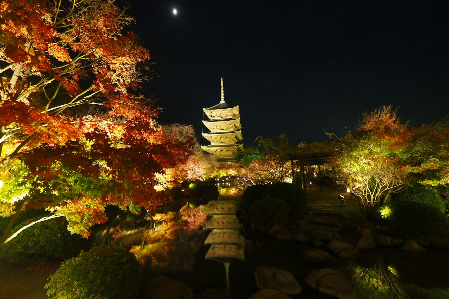 Beautiful view of a Japanese garden at night with autumn leaves and a pagoda