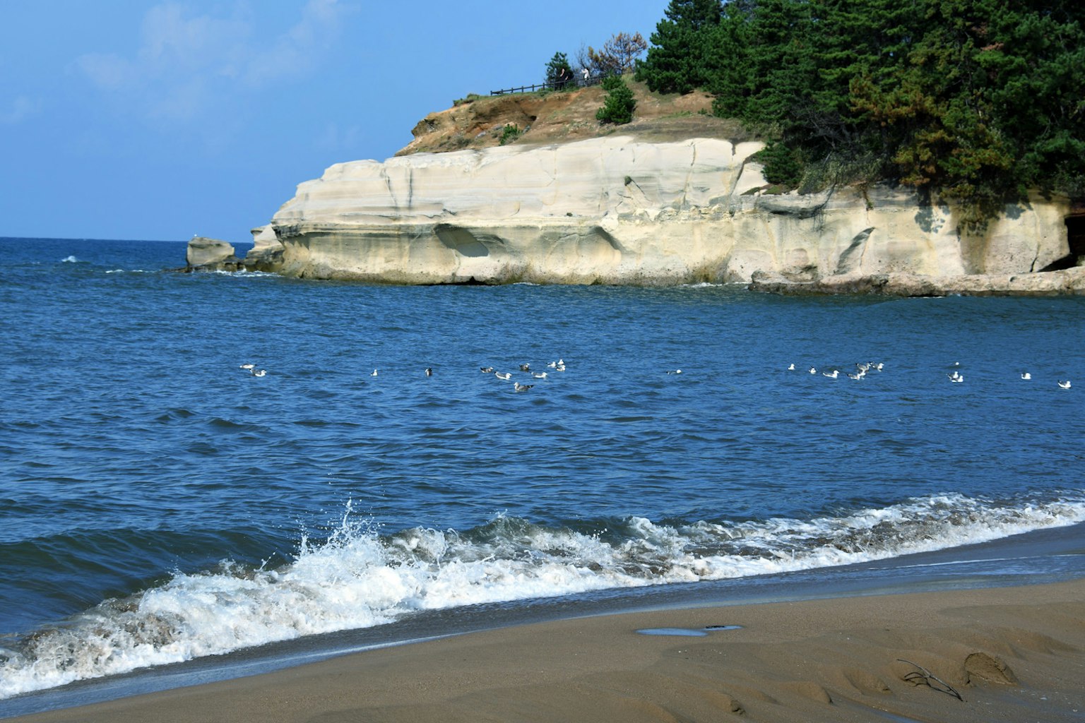 Scenic view of blue ocean and white cliffs with beach waves and flocks of birds
