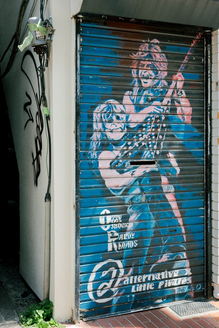 ritratto di street art dipinto su una saracinesca blu