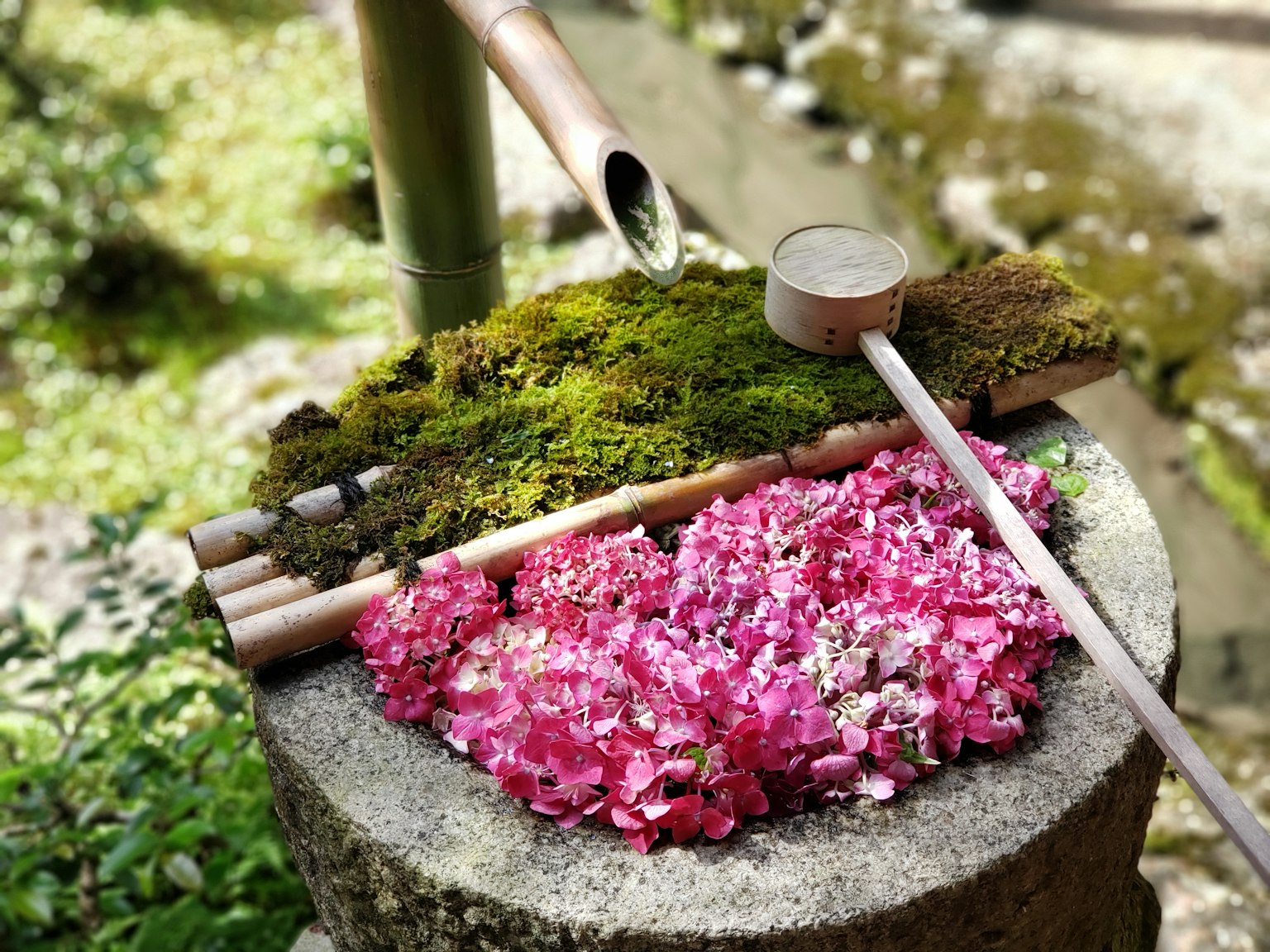 A serene landscape featuring bamboo, moss, and flower petals