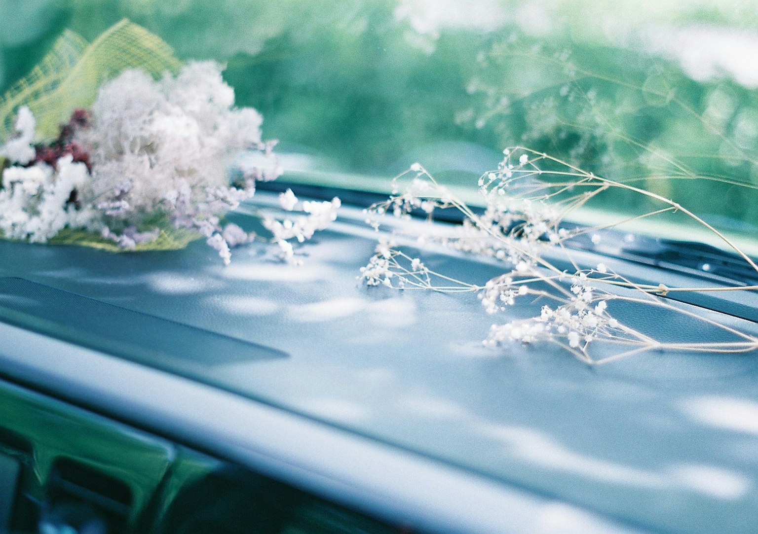 Fiori bianchi e erba secca disposti su un cruscotto di auto