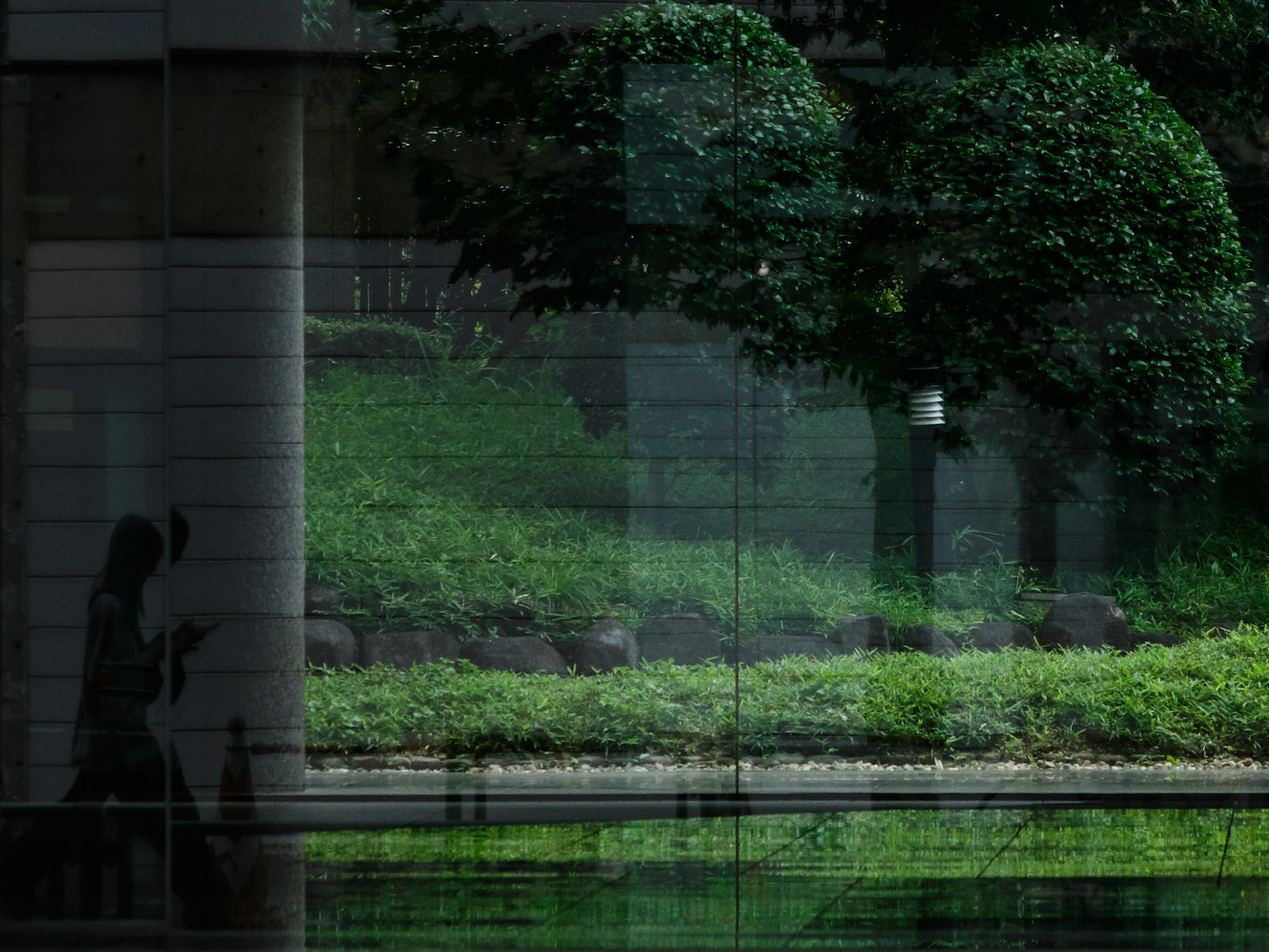 Riflessi di alberi verdi e erba visibili attraverso una finestra di vetro