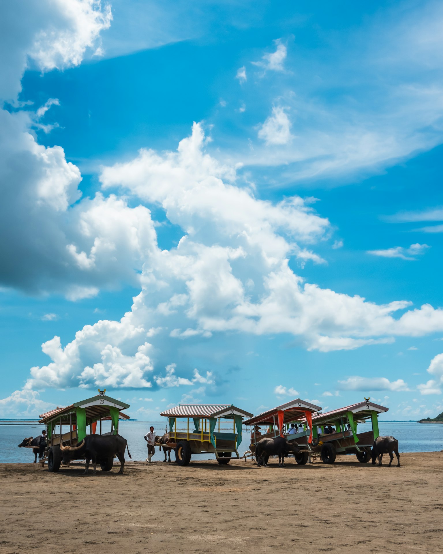 Huttes colorées et vaches sur une plage de sable sous un ciel bleu avec des nuages