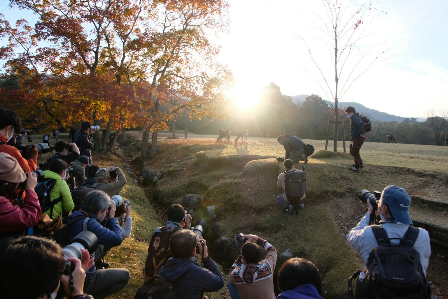 多くのカメラマンが秋の風景を撮影しているシーン 日の出の光が背景にあり 色とりどりの紅葉が見える