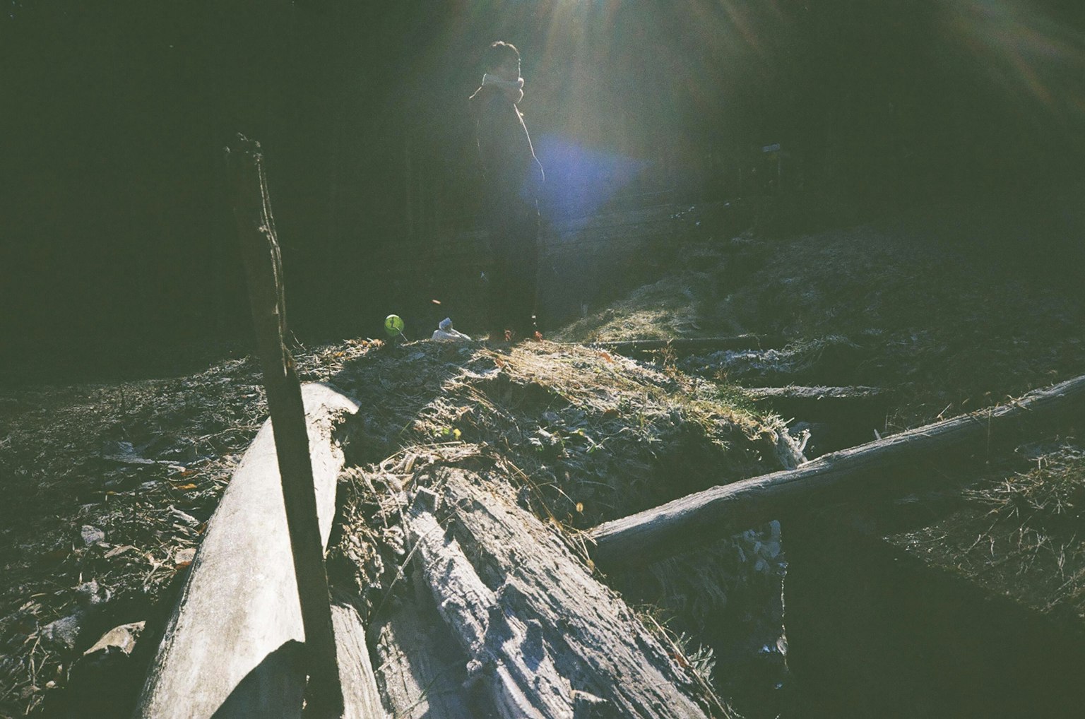 Umgestürzte Bäume in einem dunklen Wald mit Lichteffekten