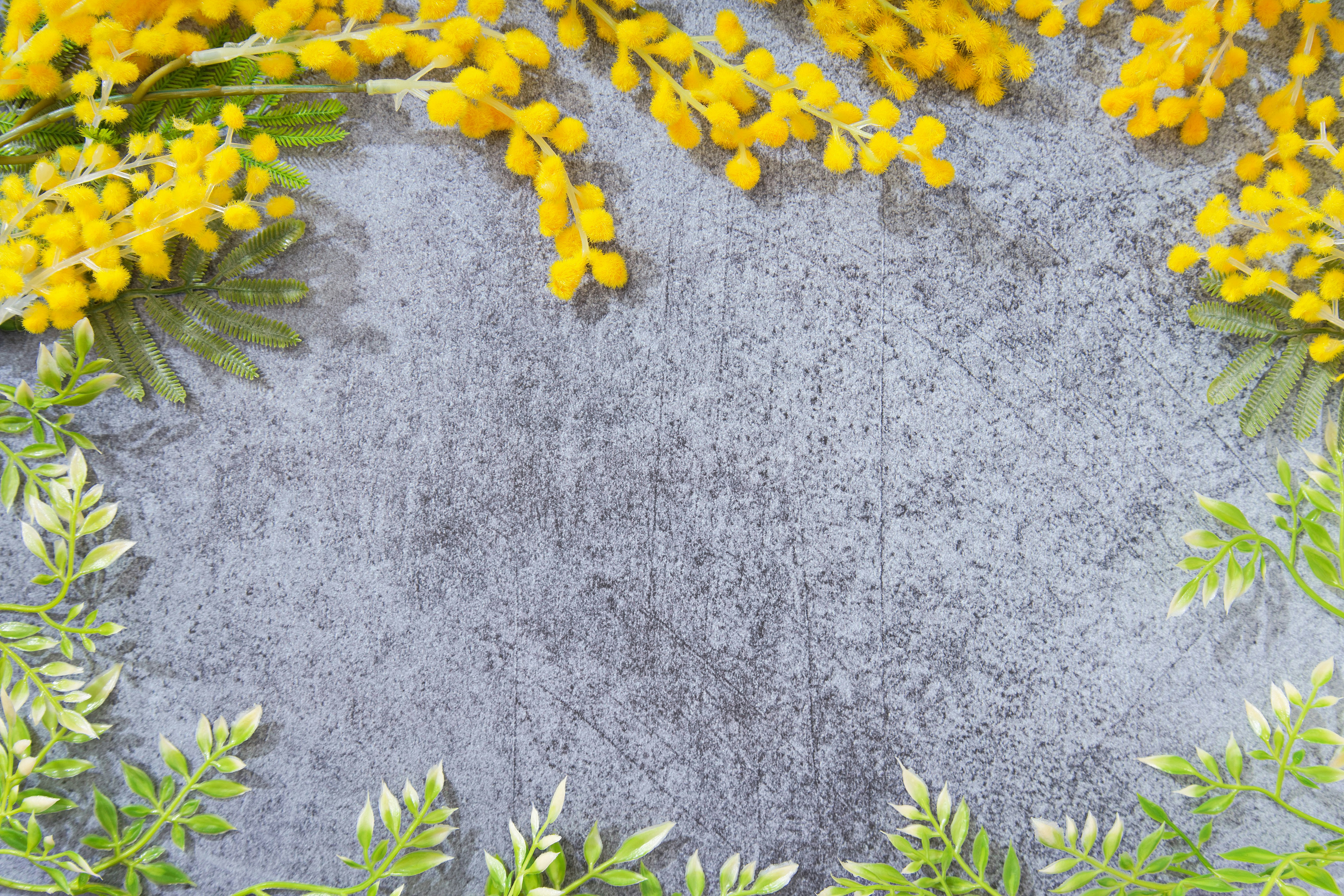 ミモザの花とボタニカルフレームの背景