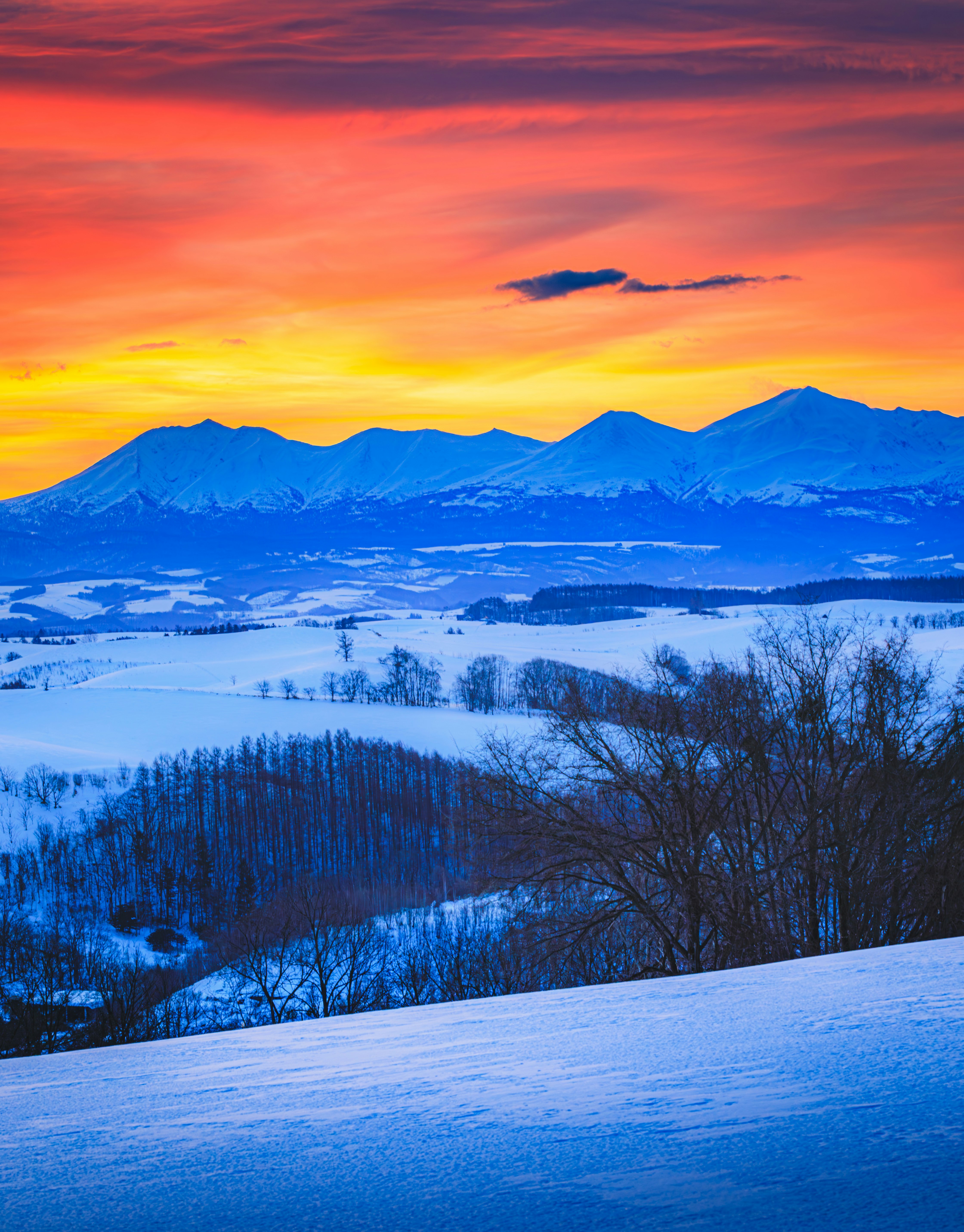 夕陽天空下的雪山山脈與森林
