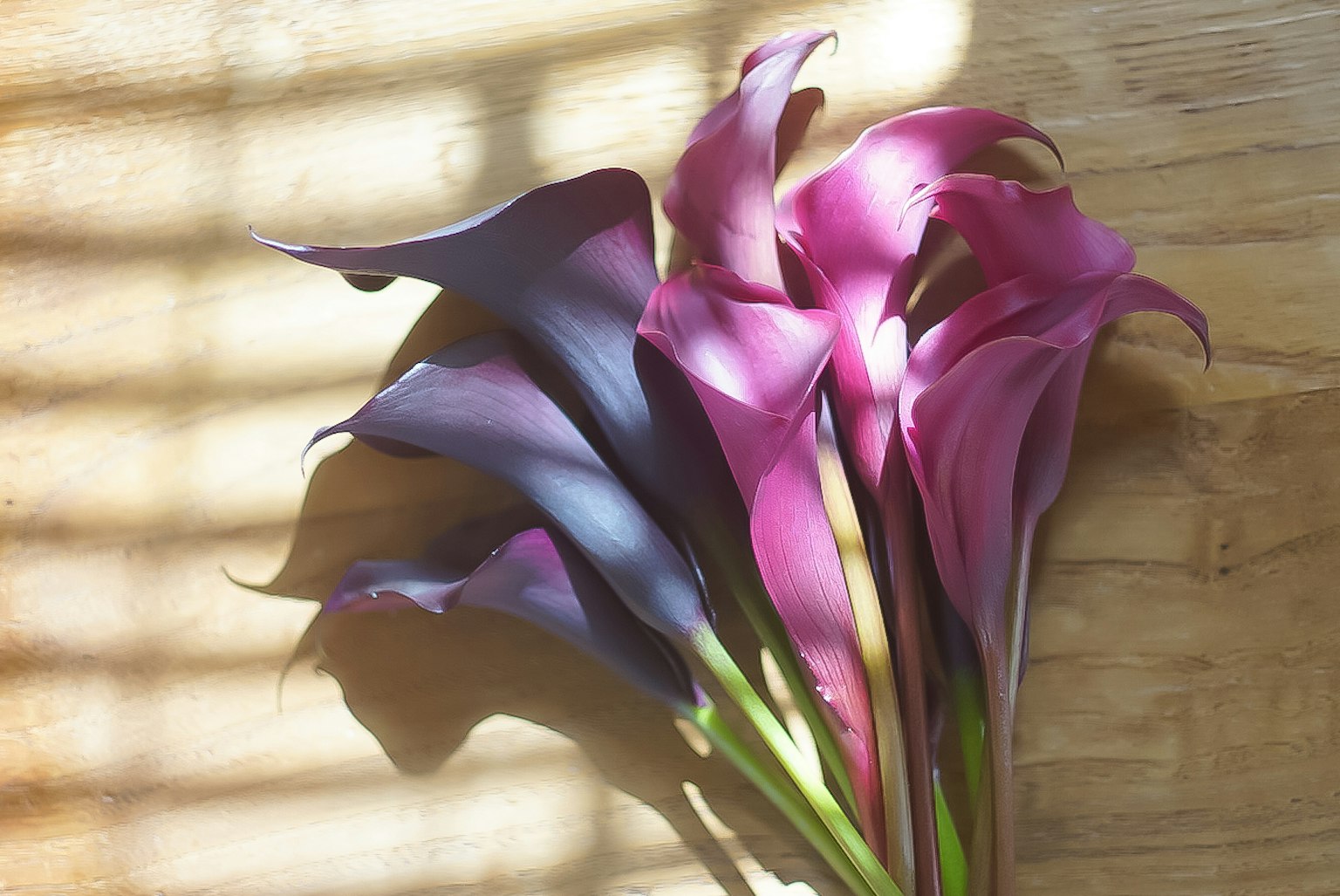 Un mazzo di gigli calla viola e rosa disposto su un tavolo di legno