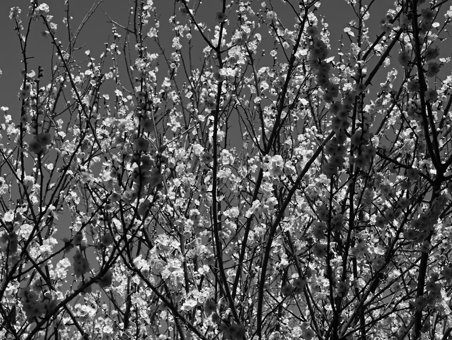 photo-3DlCe9Z9xzLhuS0jBlij-image
