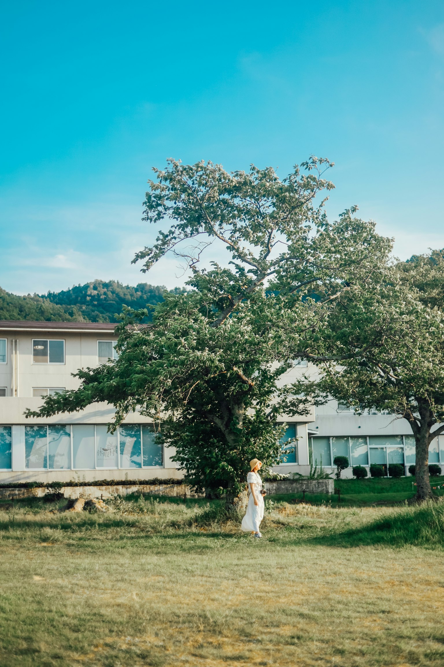 Una mujer con un vestido blanco se encuentra cerca de un gran árbol bajo un cielo azul