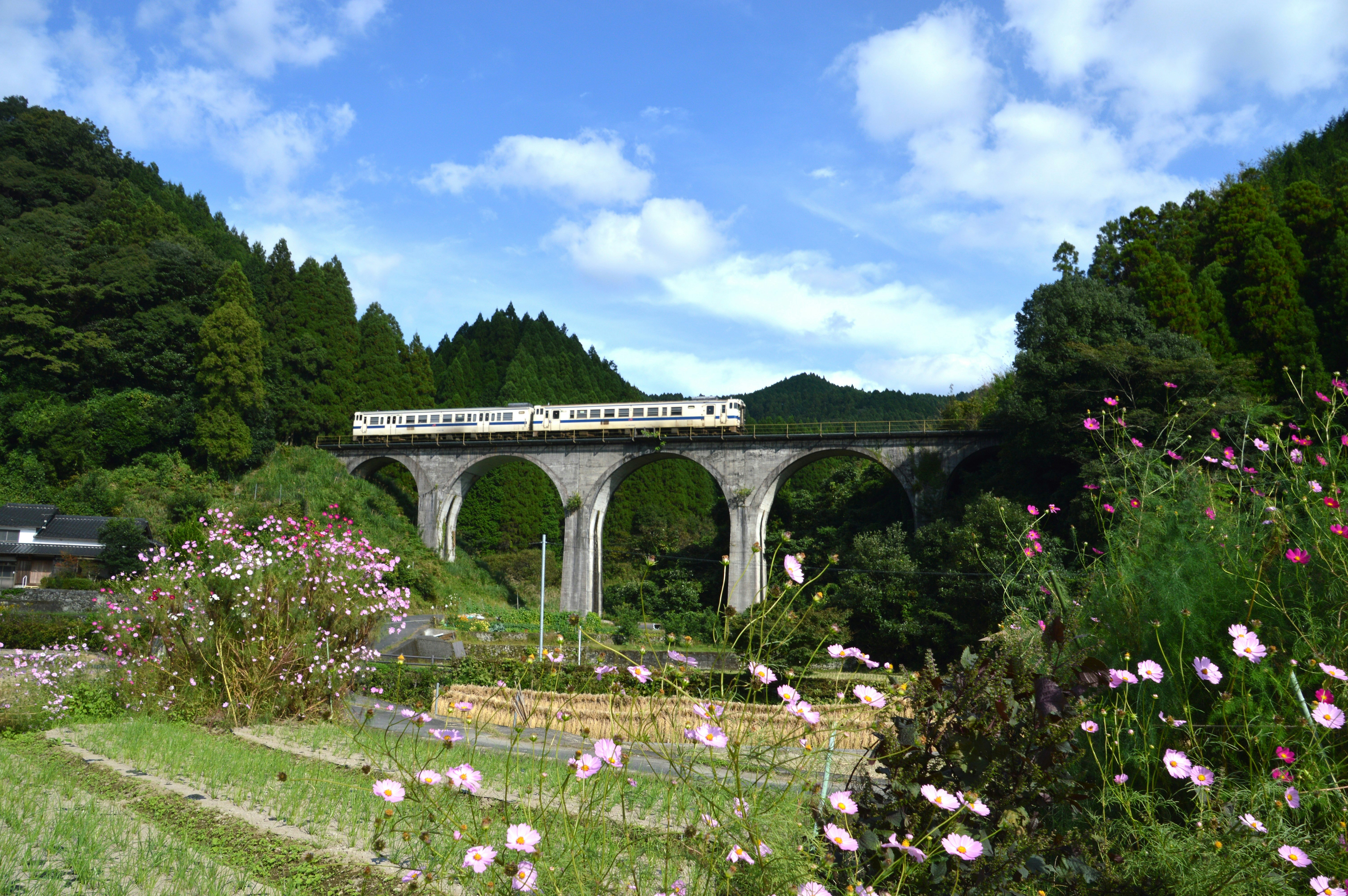 福岡県東峰村のめがね橋と多連アーチの石造橋、花畑の風景