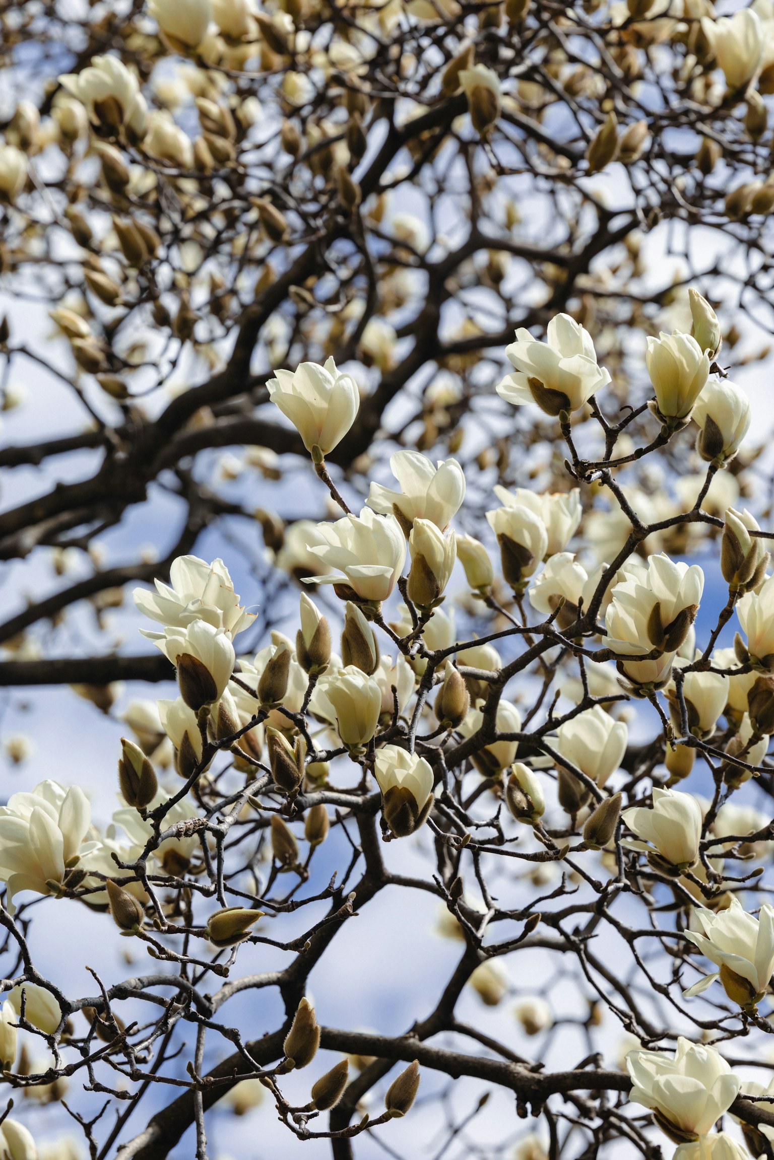 photo-3FFgvdmrHQI2gU1T2Glx-image