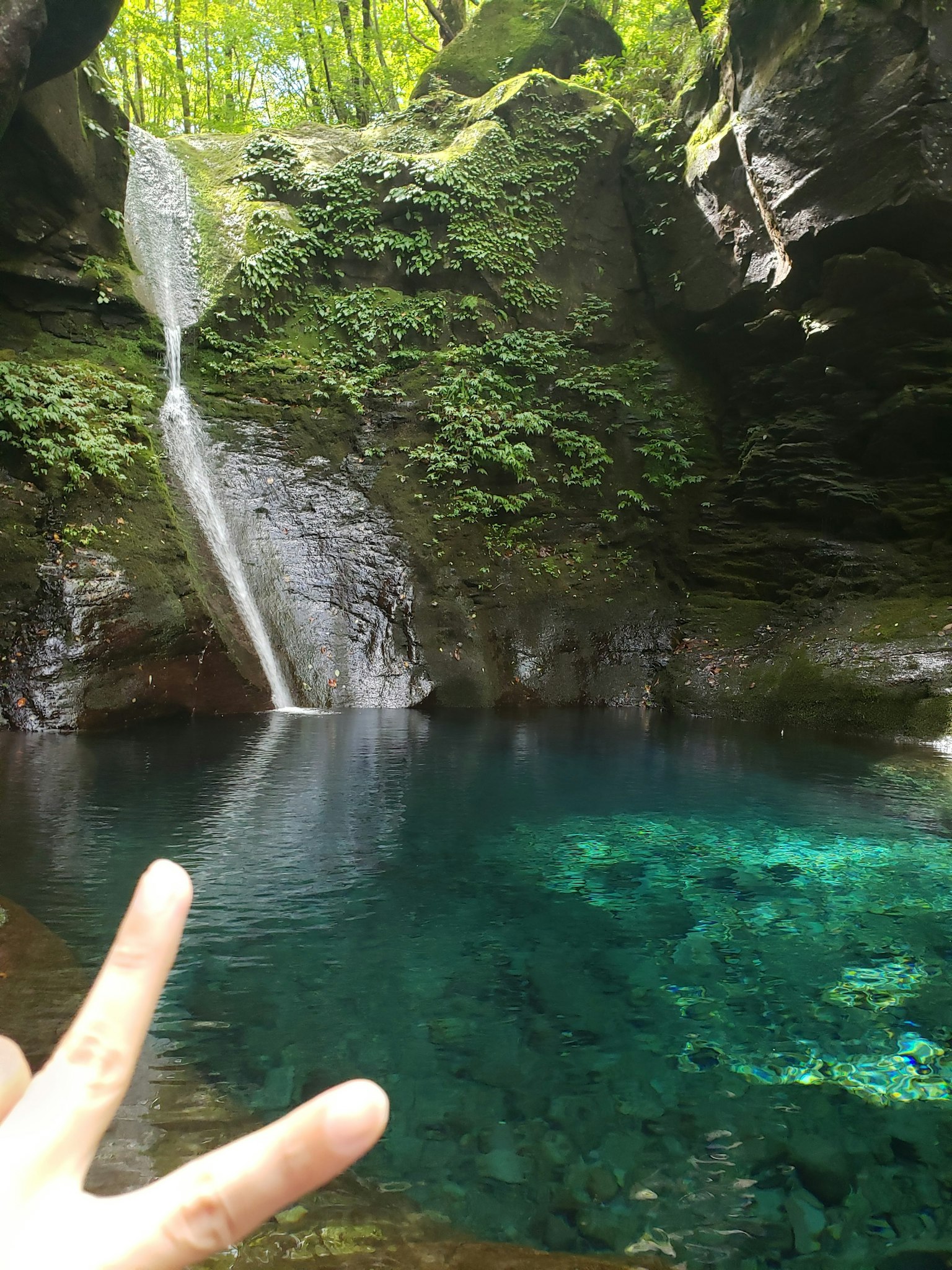 Beau paysage naturel avec une cascade et une eau claire