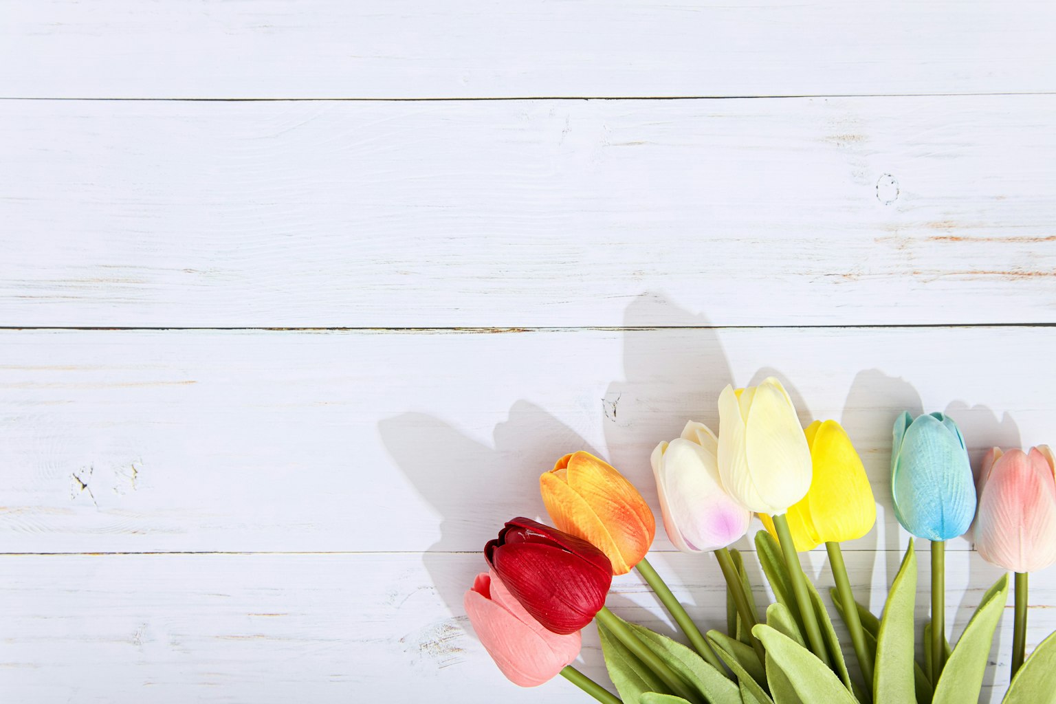 Des tulipes colorées disposées sur une table en bois blanc