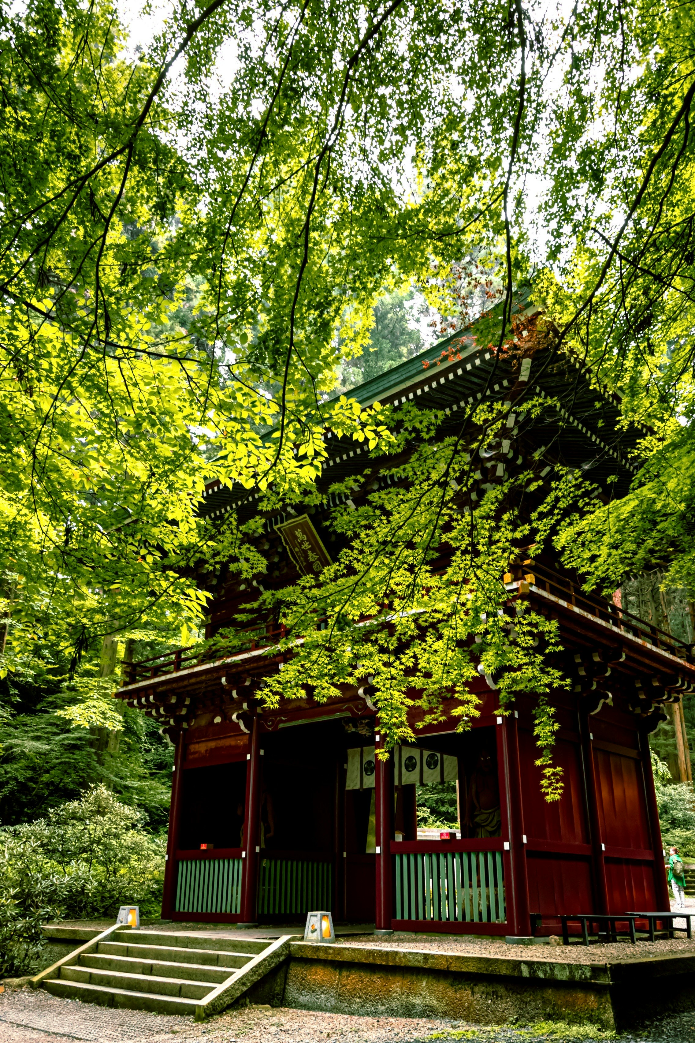 新緑に囲まれた御岩神社の社殿