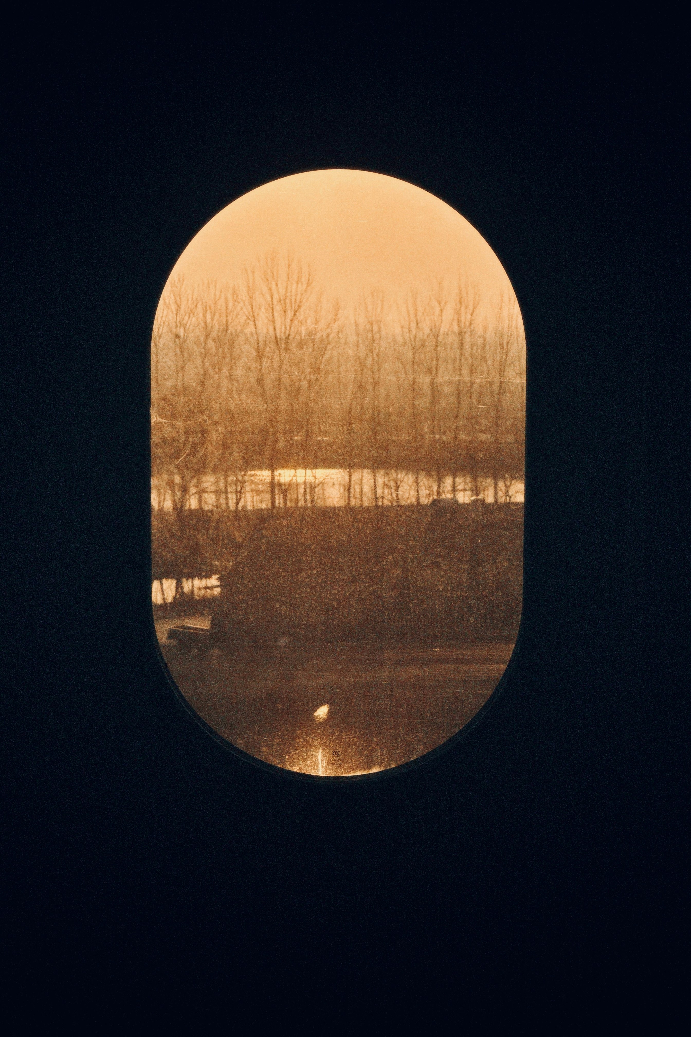 dusk trees and misty atmosphere seen through a round window
