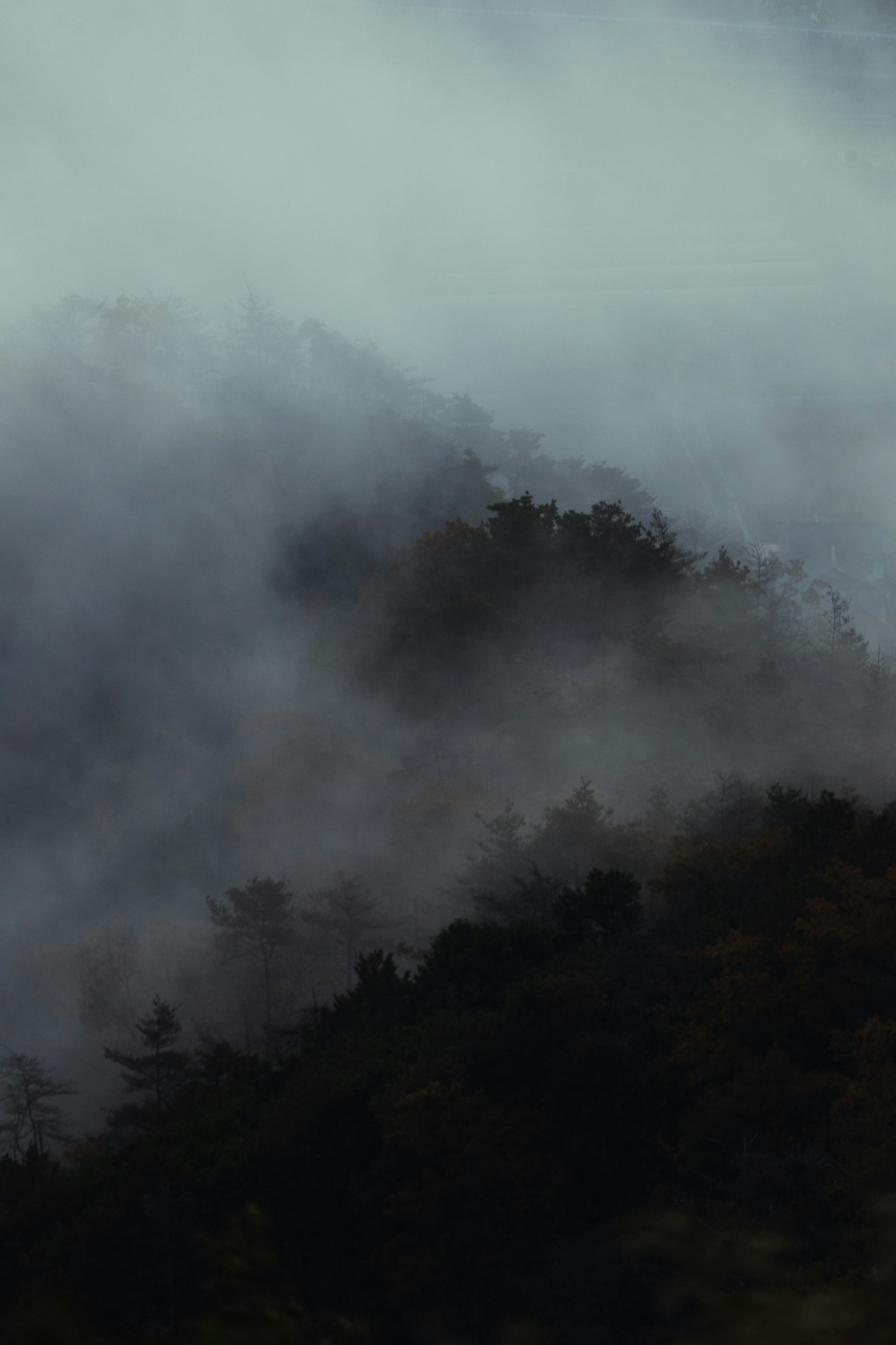 雾气弥漫的山景和深绿色的树木