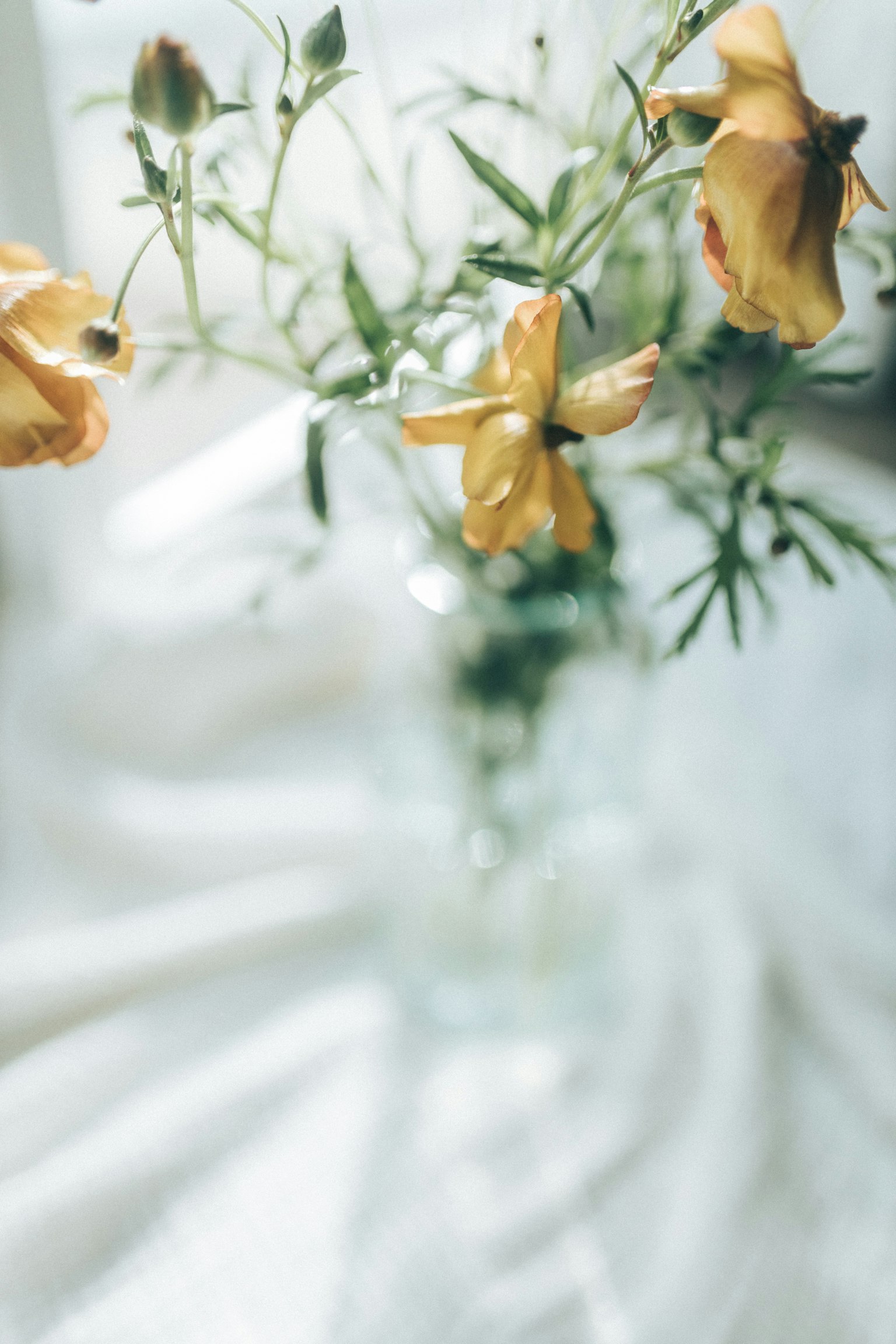 A clear vase with yellow flowers and green leaves arranged beautifully