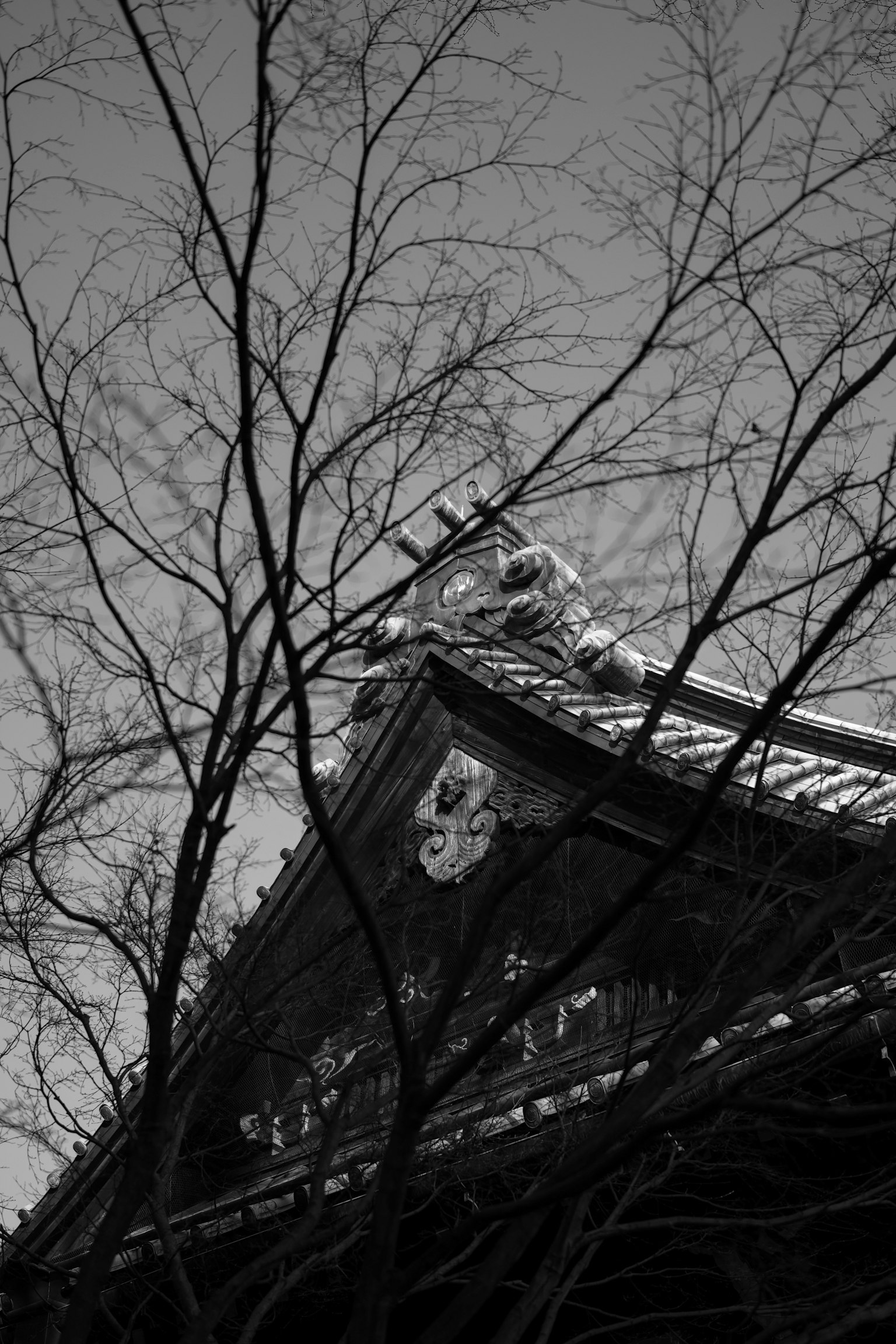 被雪覆盖的古老日本寺庙屋顶和冬季树木