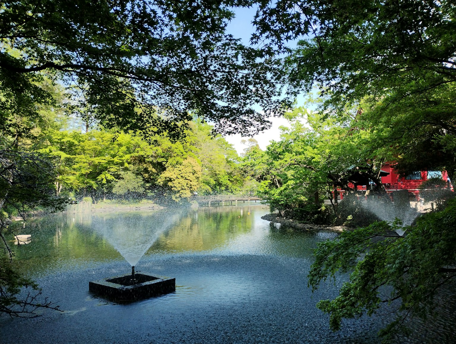 Vue pittoresque d'un étang de parc avec des fontaines et une végétation luxuriante