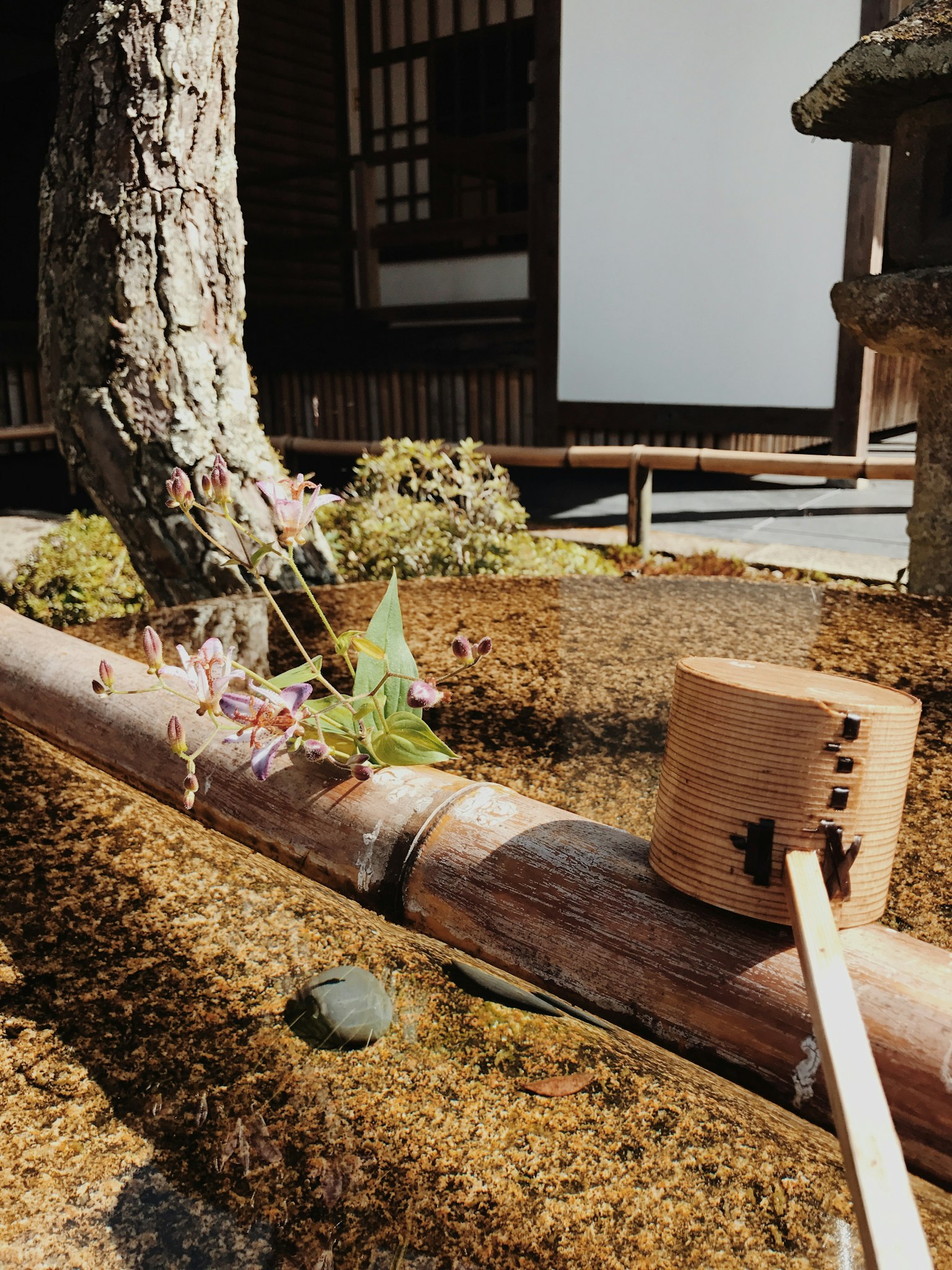 Un bassin d'eau en bambou avec une louche en bois dans un jardin japonais