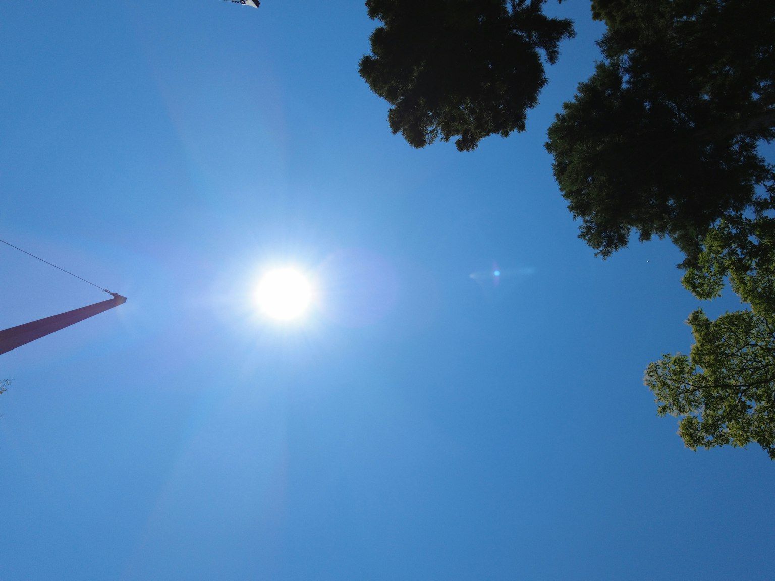 Immagine che mostra una vista del cielo blu e del sole con alberi circostanti