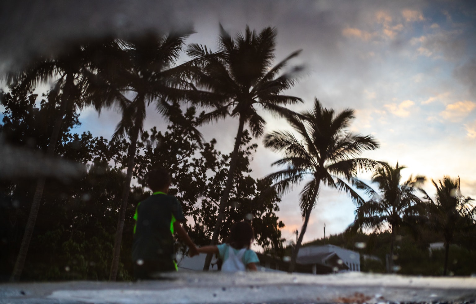 Silueta de palmeras y personas en la playa durante el atardecer
