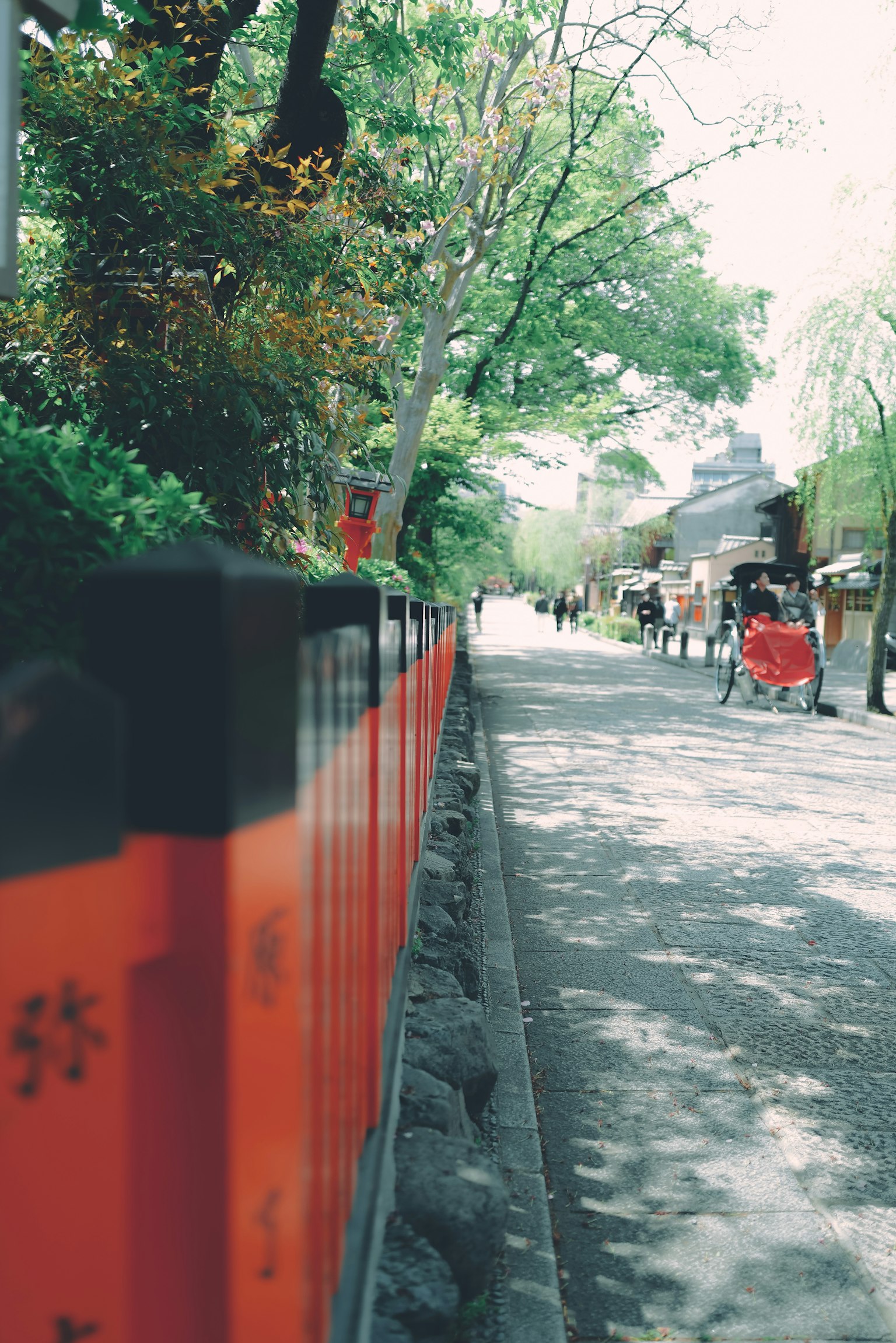 Pathway lined with red torii gates and green trees