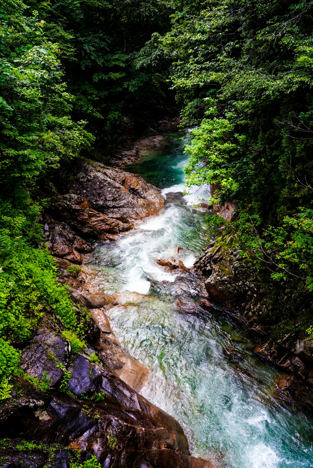 綠色山澗溪流流過岩石的景象圖片
