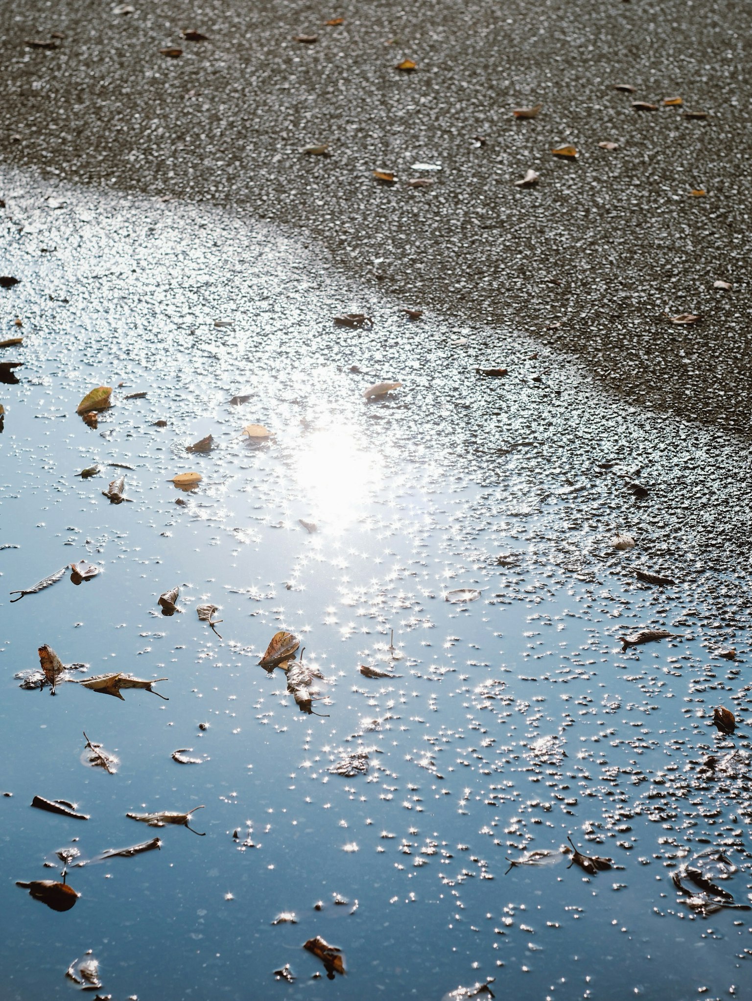 Reflet de la lumière du soleil dans une flaque avec des feuilles tombées