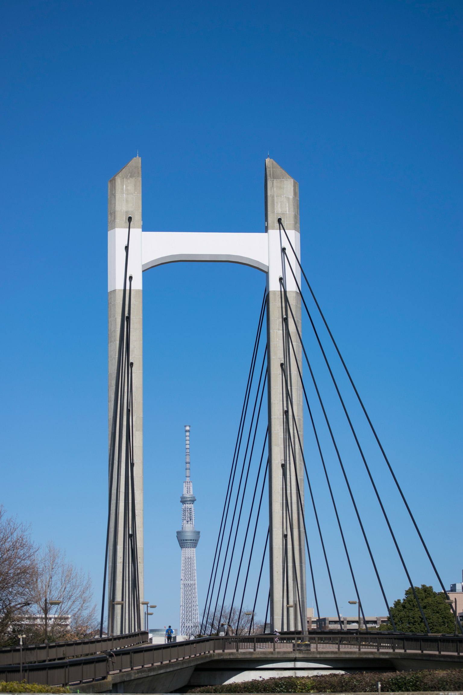 Ponte sospeso moderno sotto un cielo blu chiaro con Tokyo Skytree sullo sfondo