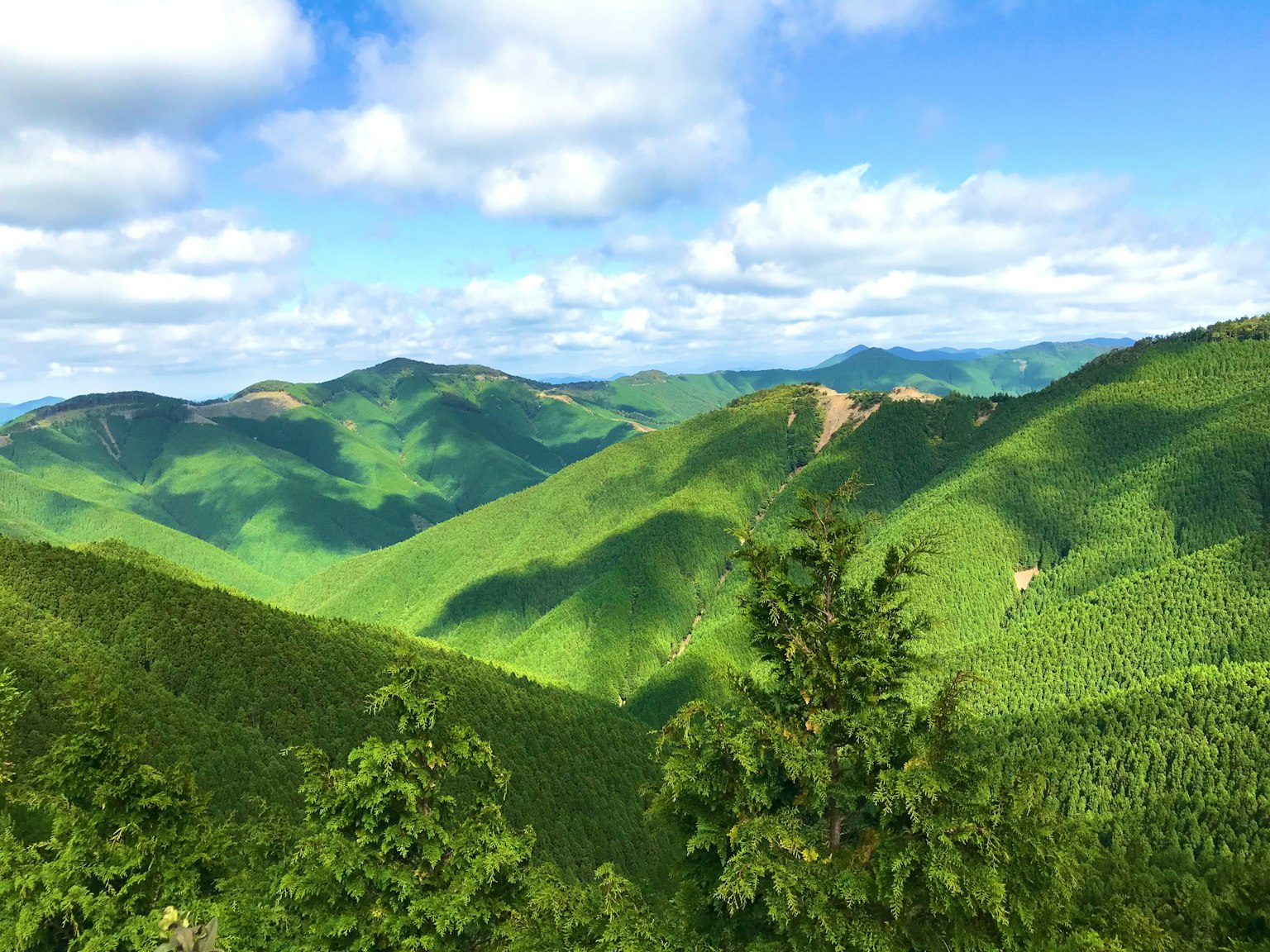 Lush green mountains under a blue sky