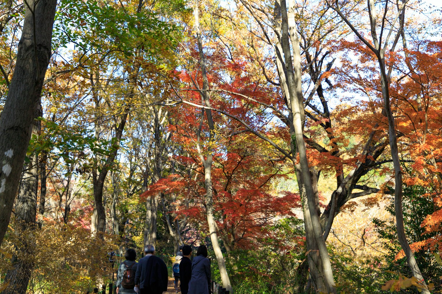 People walking in a beautiful autumn landscape surrounded by colorful foliage