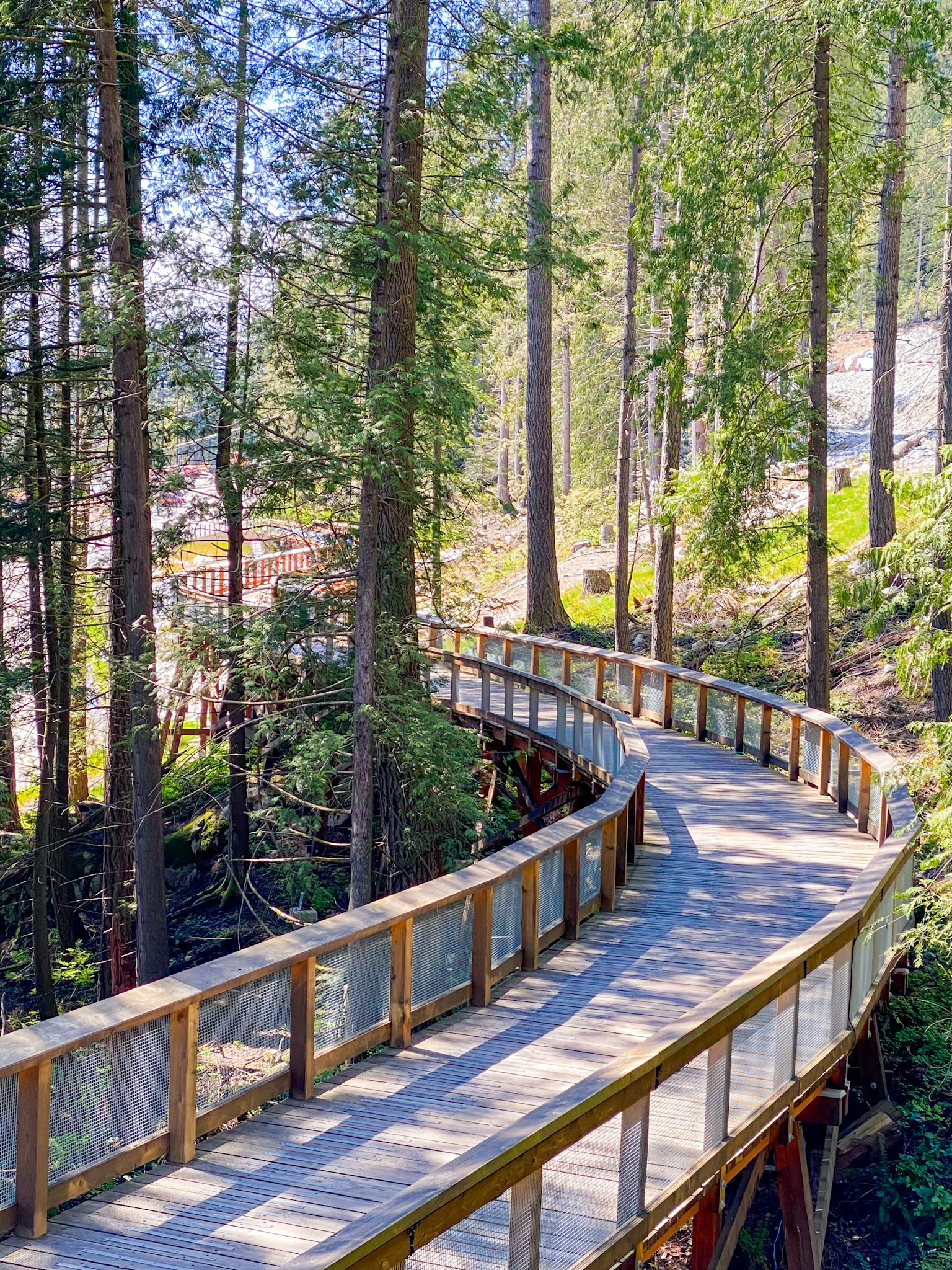 Passerelle en bois courbée à travers une forêt verdoyante