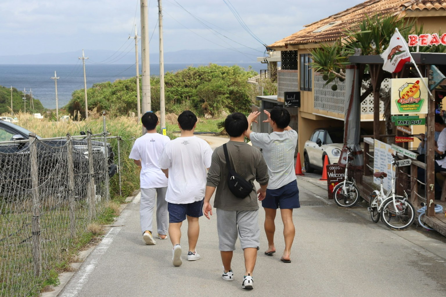 一群年輕人沿著海岸公路散步，背景是海洋景色