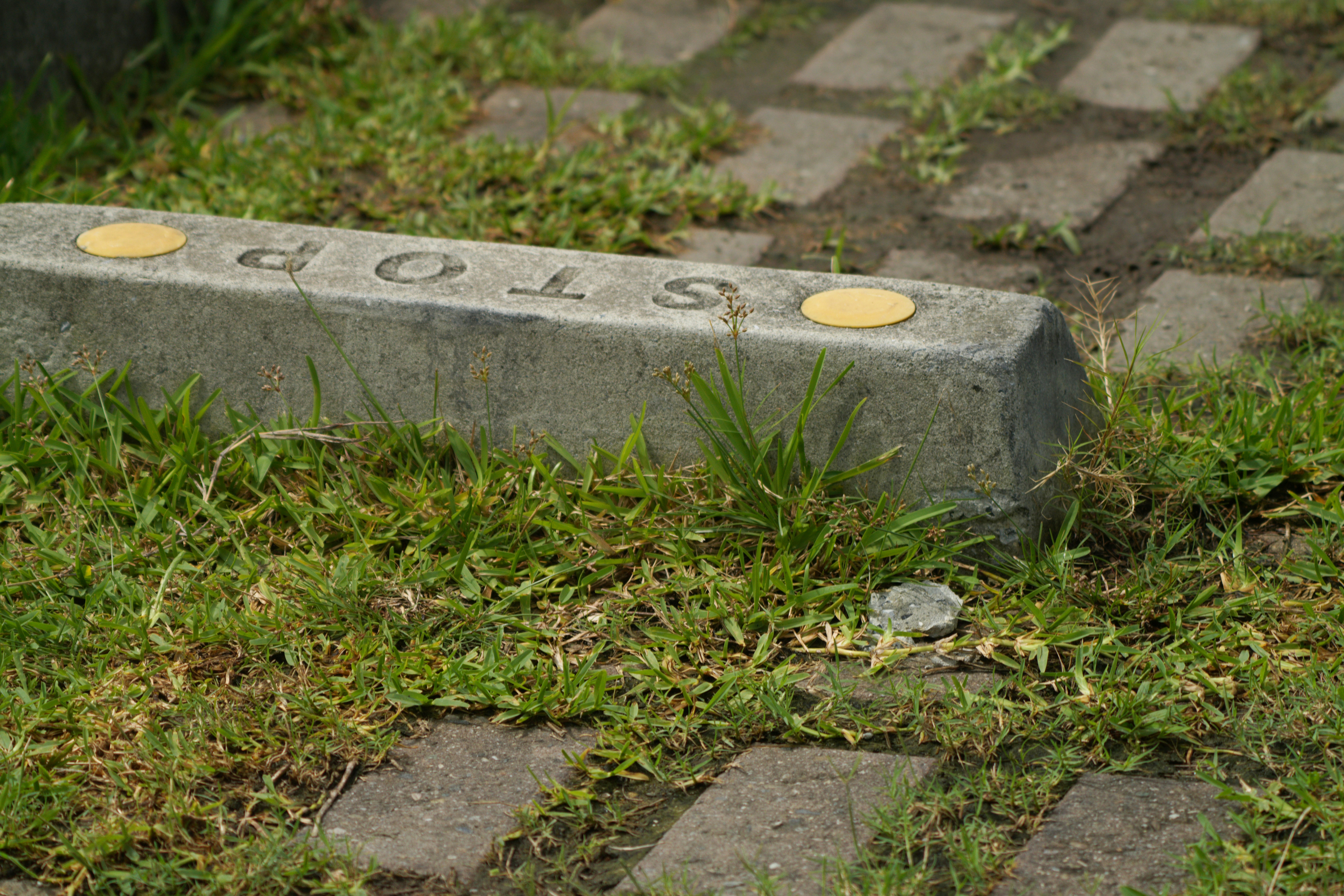 stone boundary marker embedded in grass