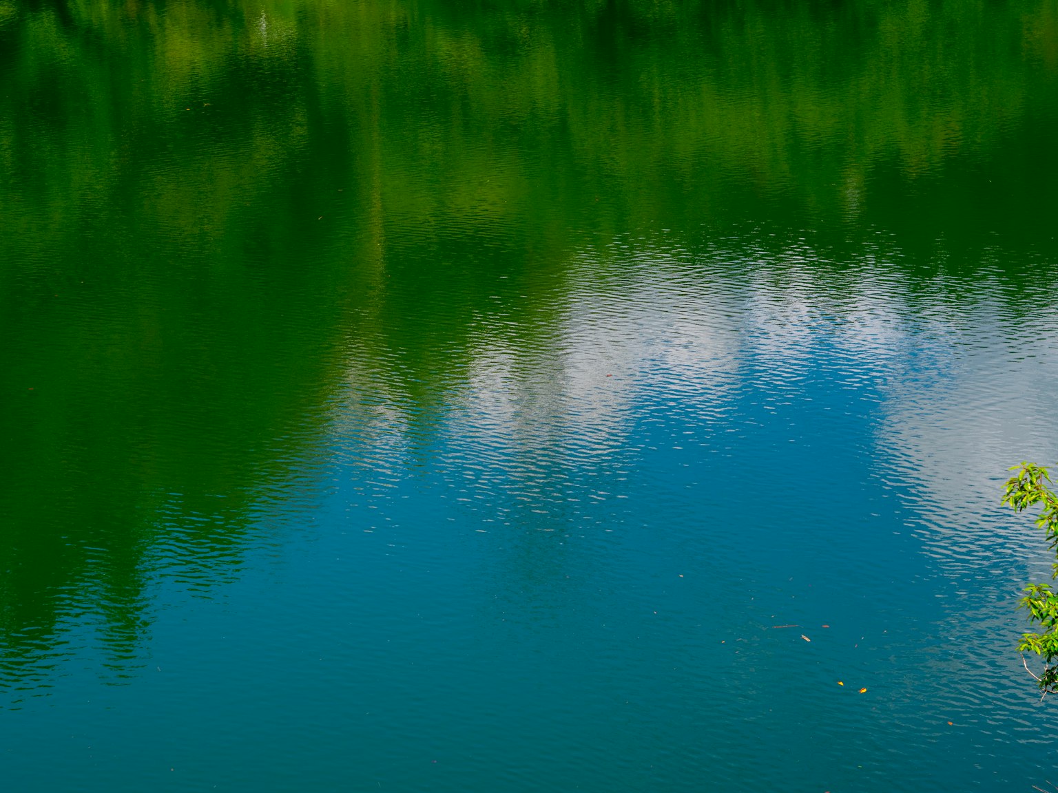 photo-3LSHB7PBUvsHRKVLKCtv-image