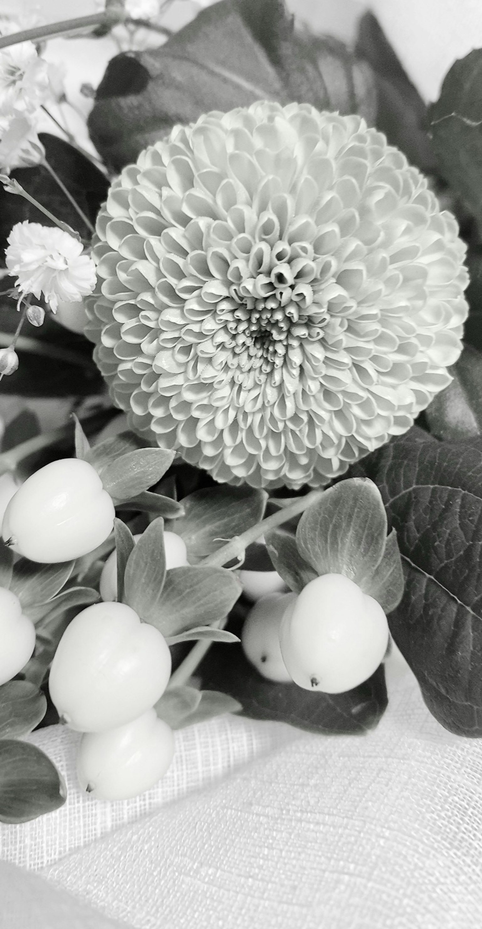 Ramo en blanco y negro con una dalia y frutas blancas