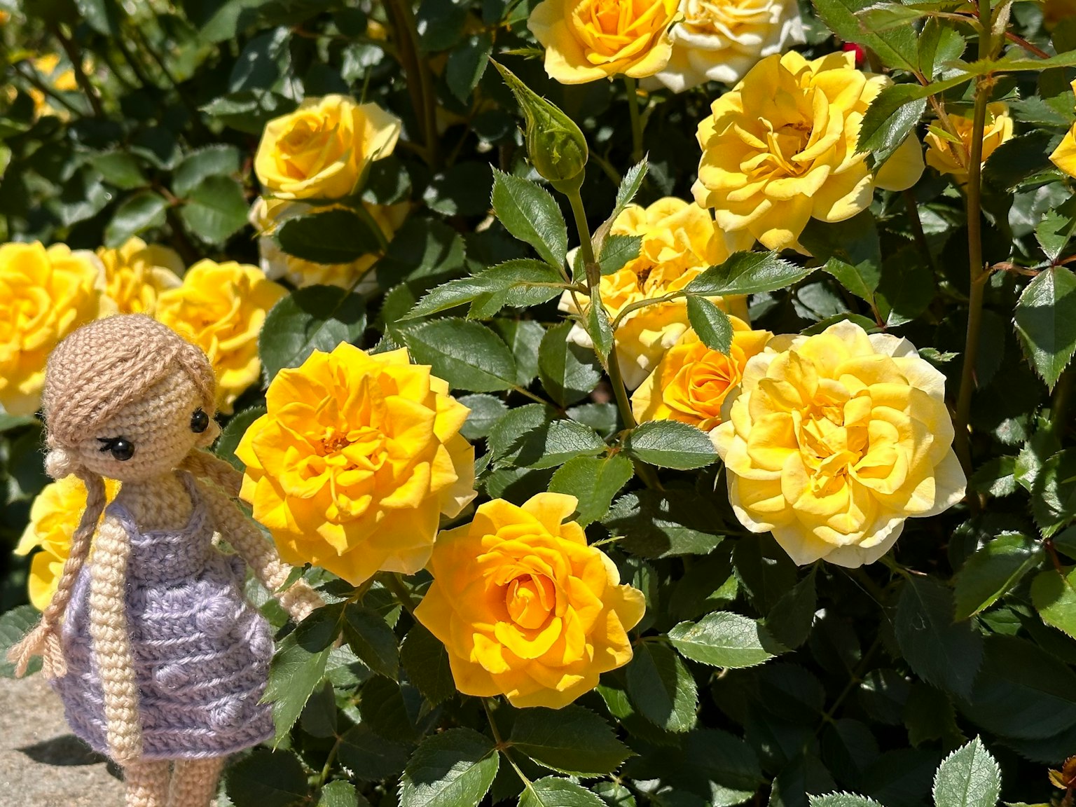Fata all'uncinetto in piedi di fronte a rose gialle