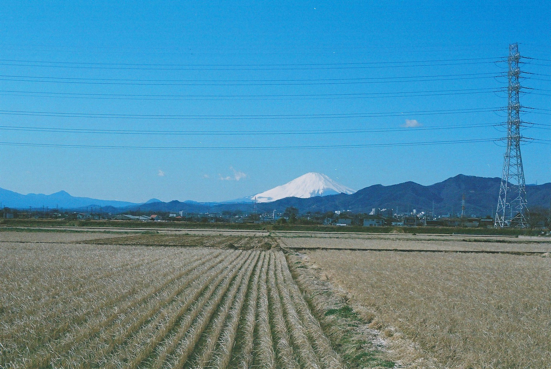 畑の畝と遠くにそびえる雪をかぶった山