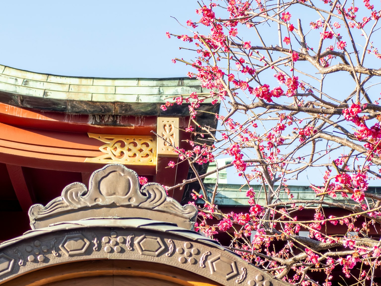 传统日本建筑屋顶的一部分和樱花